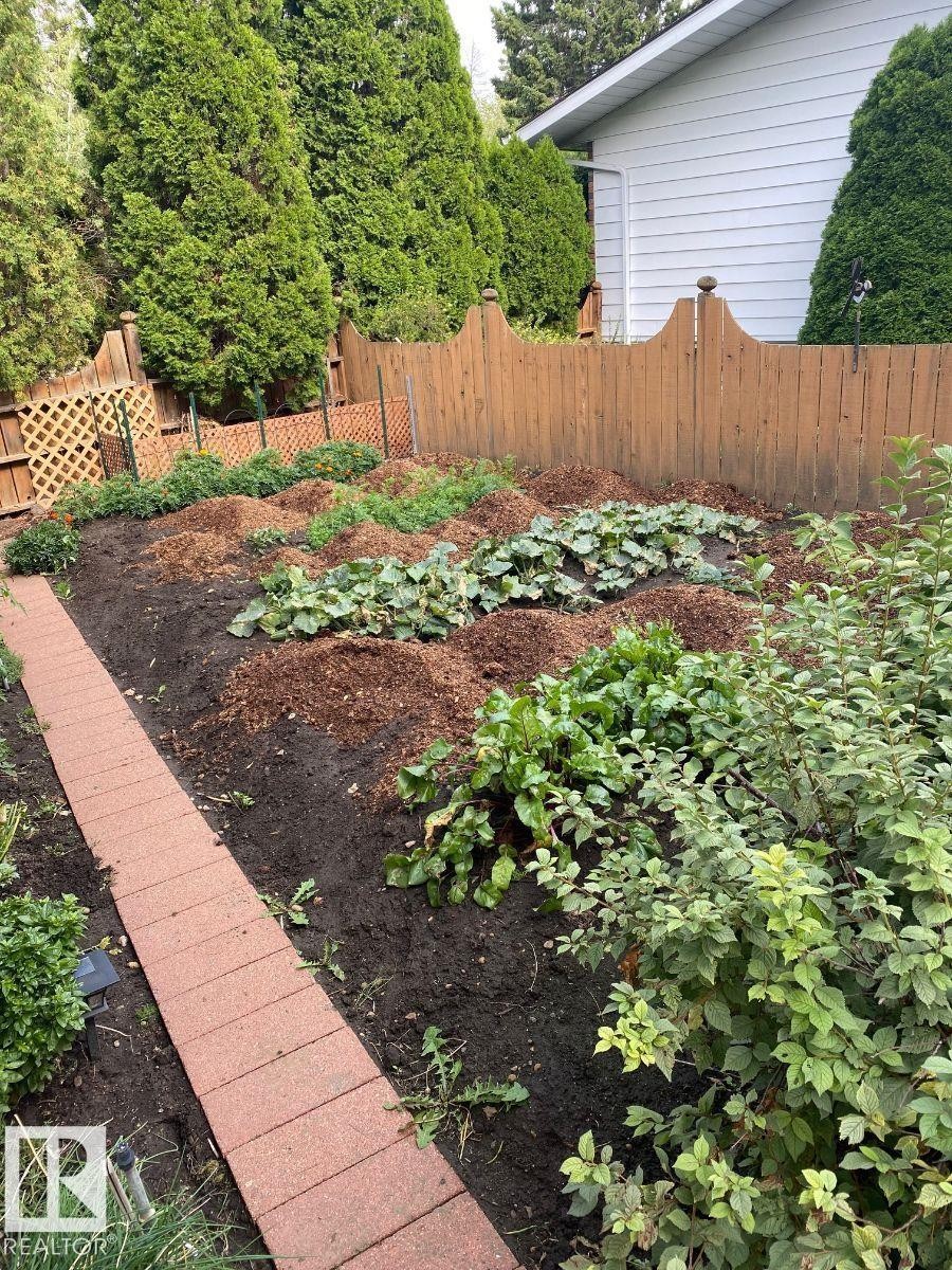 View of yard - 206 Wolf Willow Crescent, Edmonton, AB - Outdoor