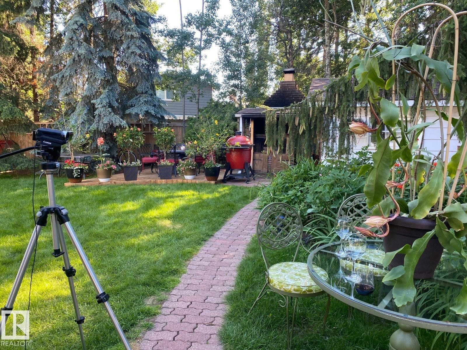 View of green lawn featuring a patio - 206 Wolf Willow Crescent, Edmonton, AB - Outdoor