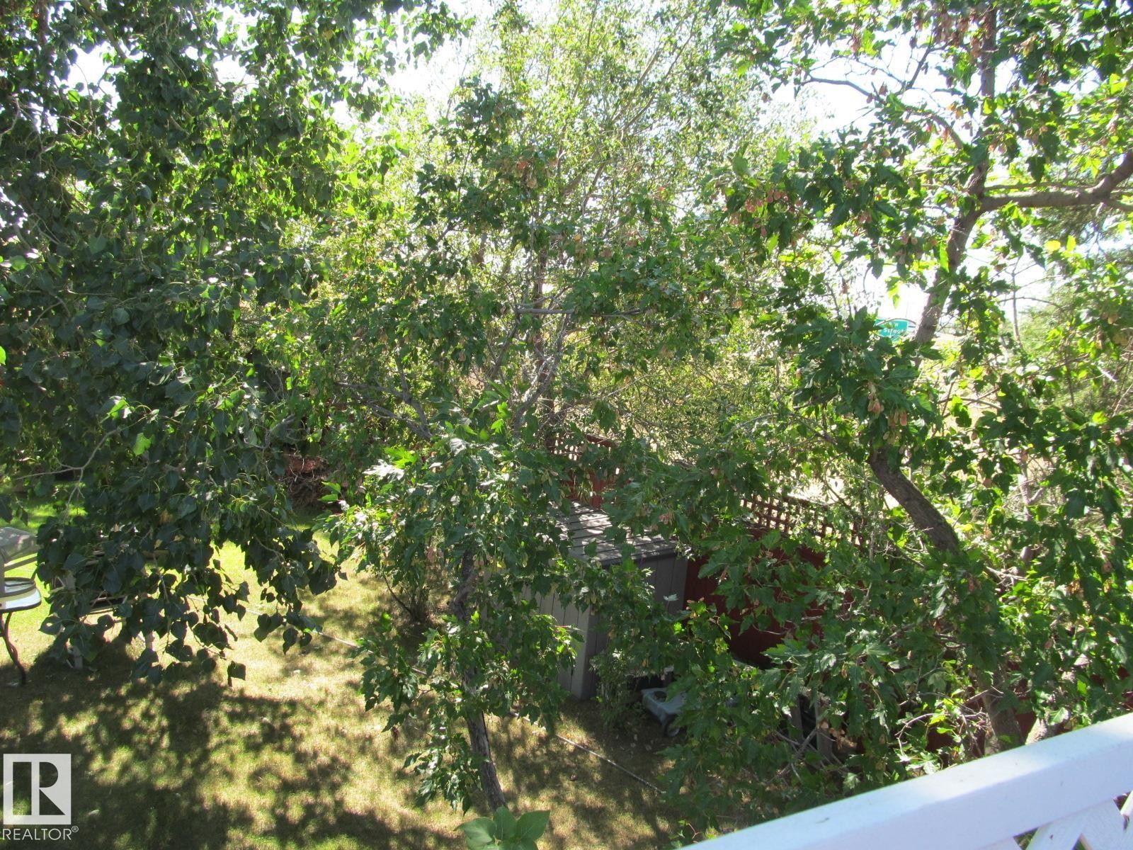 View of nature - 4823 10 Avenue, Edmonton, AB - Outdoor