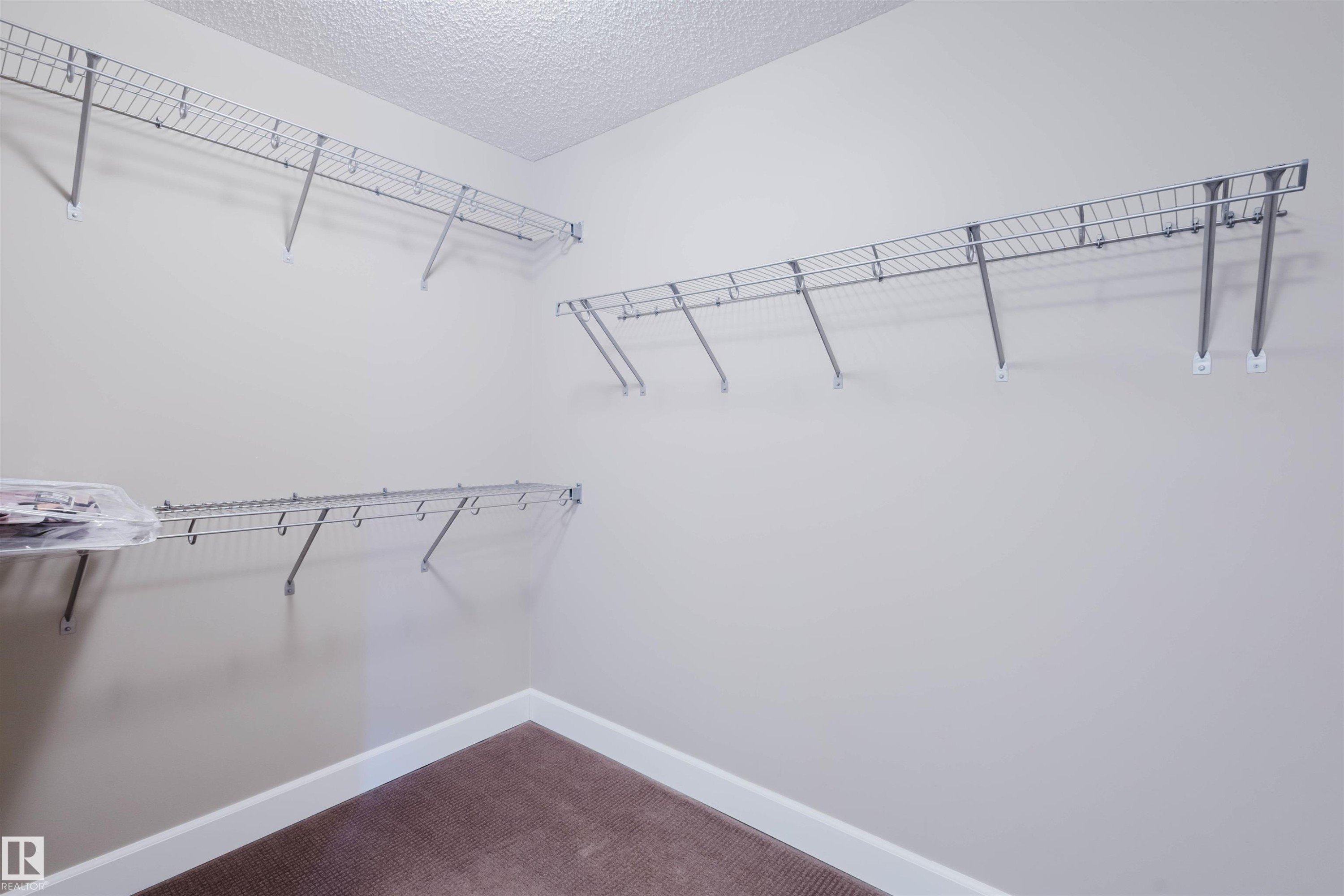 Walk in closet with carpet - 1957 Ainslie Link, Edmonton, AB - Indoor With Storage