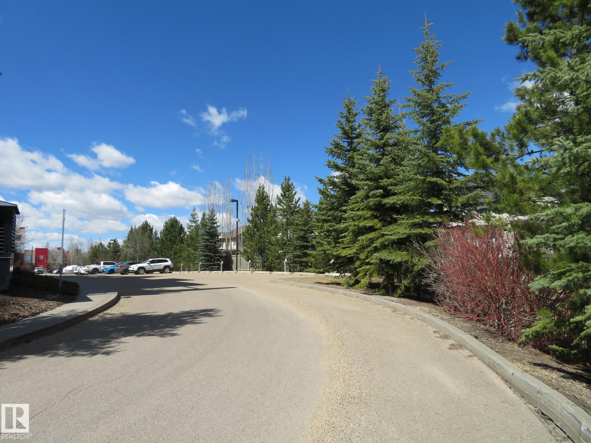 Paved roadway with concrete curbing, bordered by mature evergreen trees and red-stemmed shrubs - 415 2590 Anderson Way, Edmonton, AB - Outdoor With View