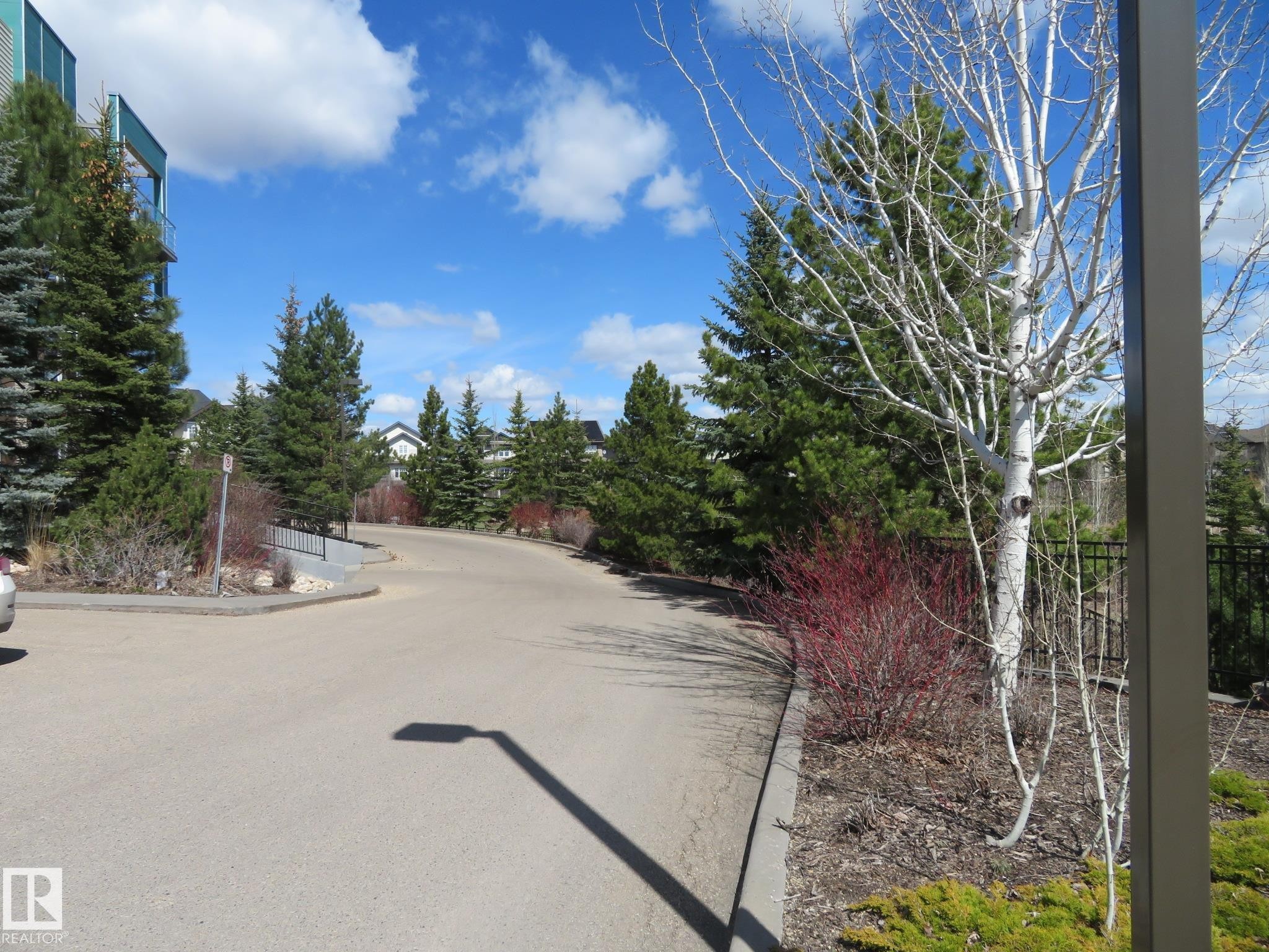 Paved road bordered by mature evergreen trees and various shrubs - 415 2590 Anderson Way, Edmonton, AB - Outdoor With View