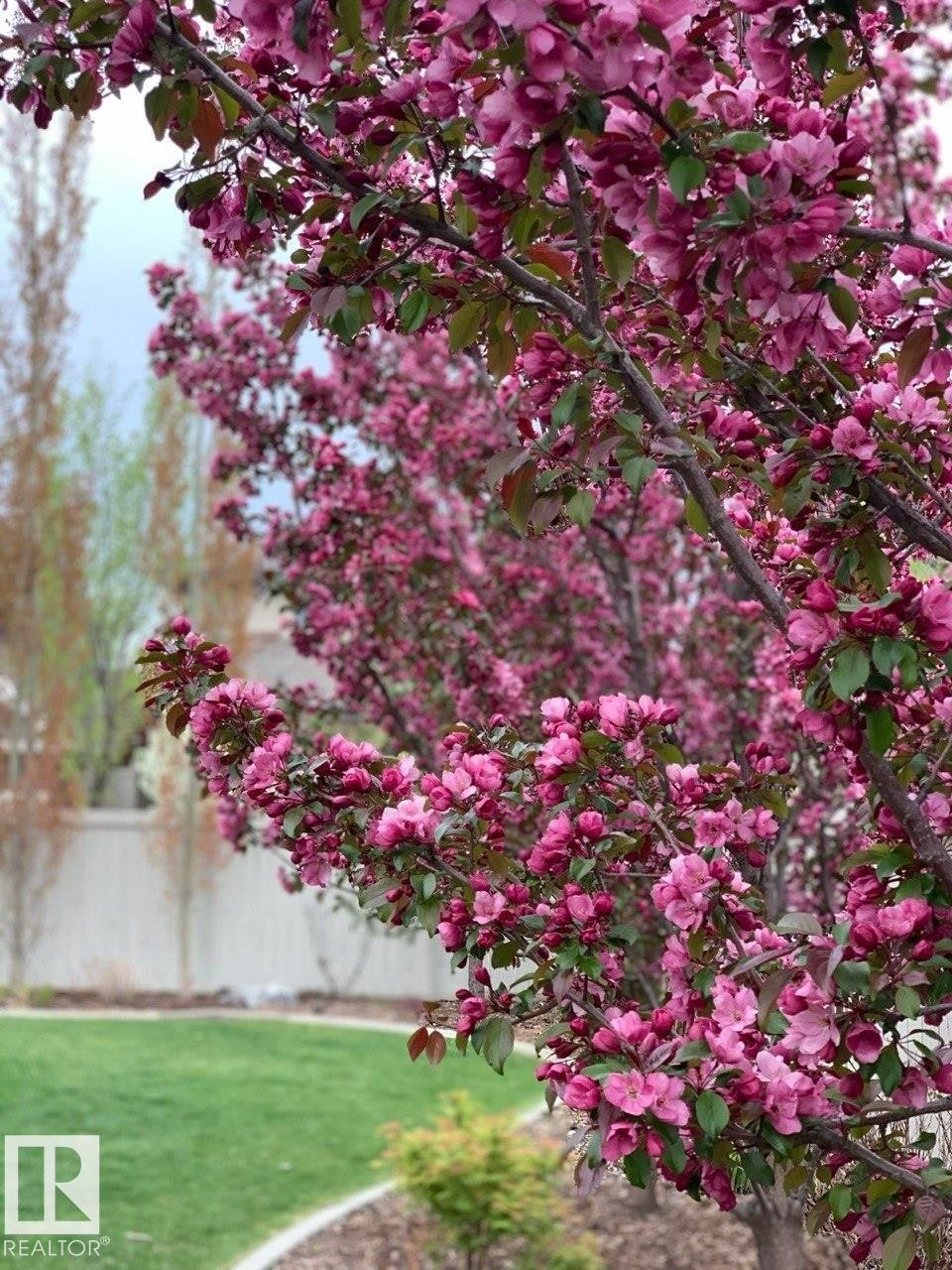 2525 Cameron Ravine Landing, Edmonton, AB - Outdoor