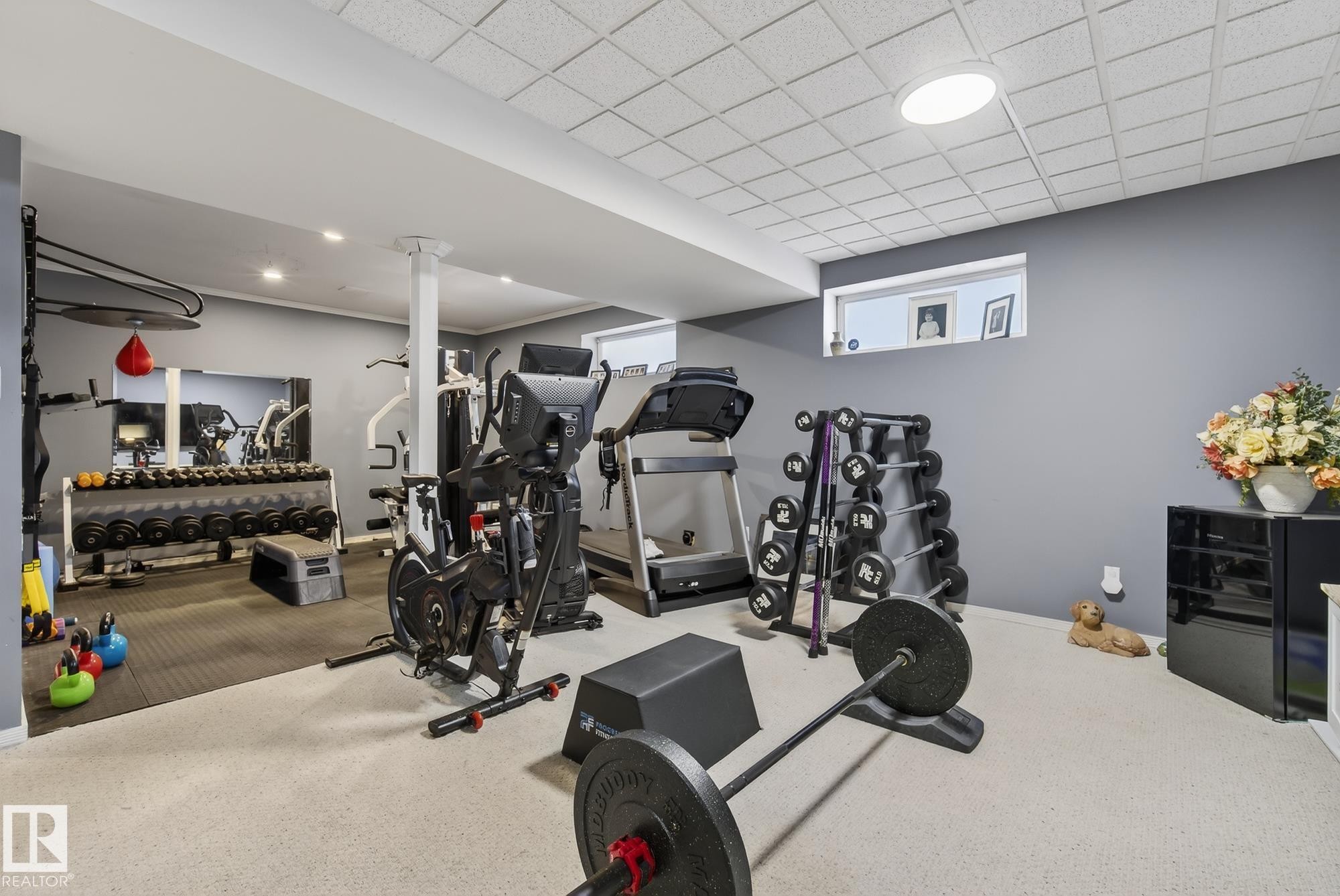 121 Galland Crescent, Edmonton, AB - Indoor Photo Showing Gym Room