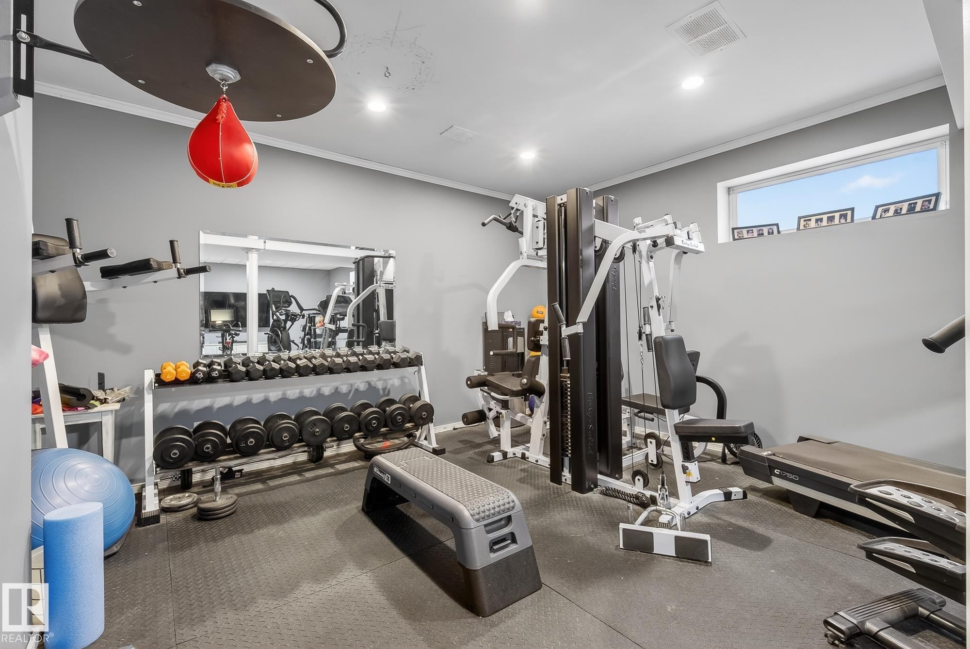 121 Galland Crescent, Edmonton, AB - Indoor Photo Showing Gym Room