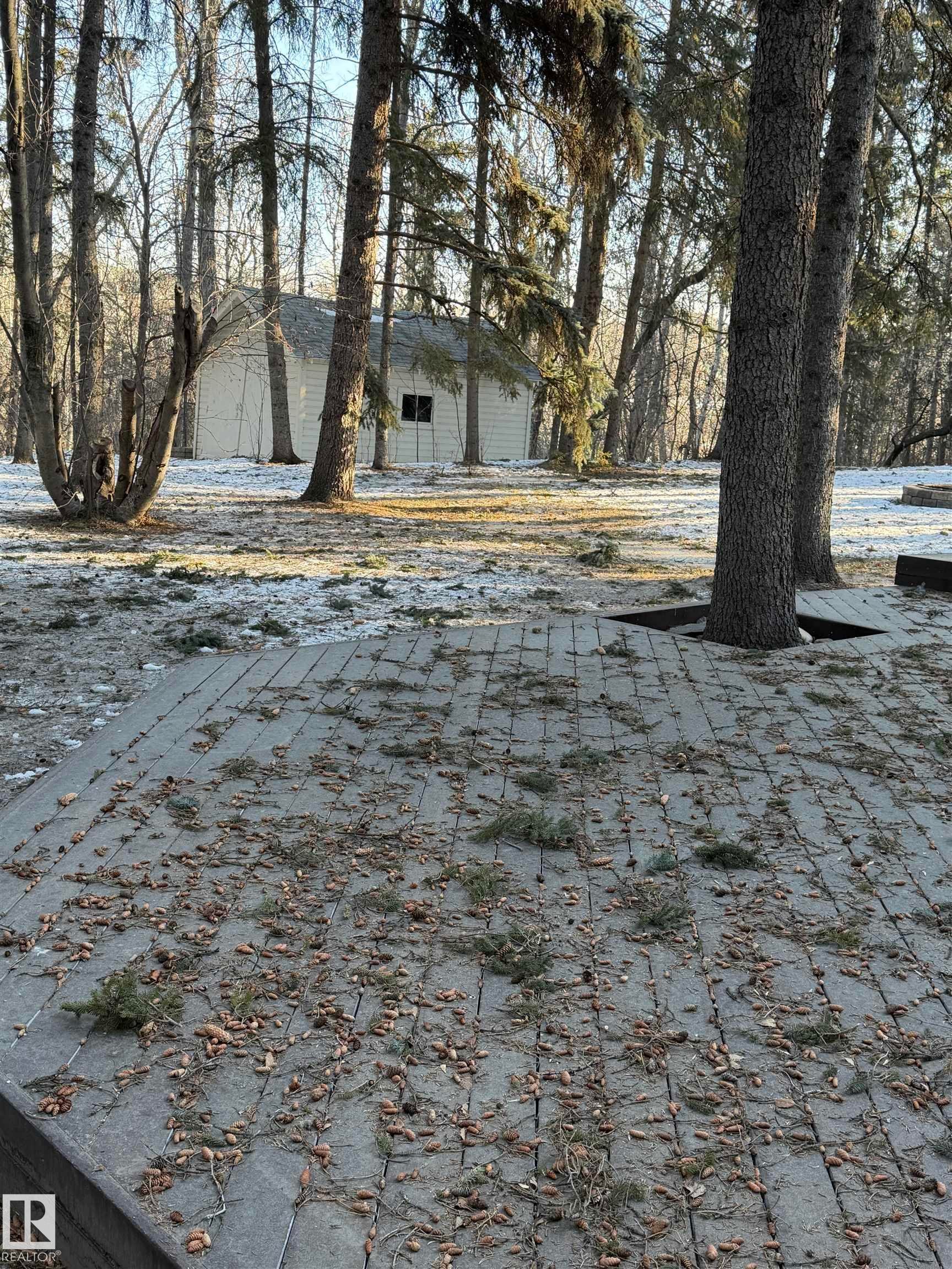 View of yard layered in snow - Edmonton, AB - Outdoor