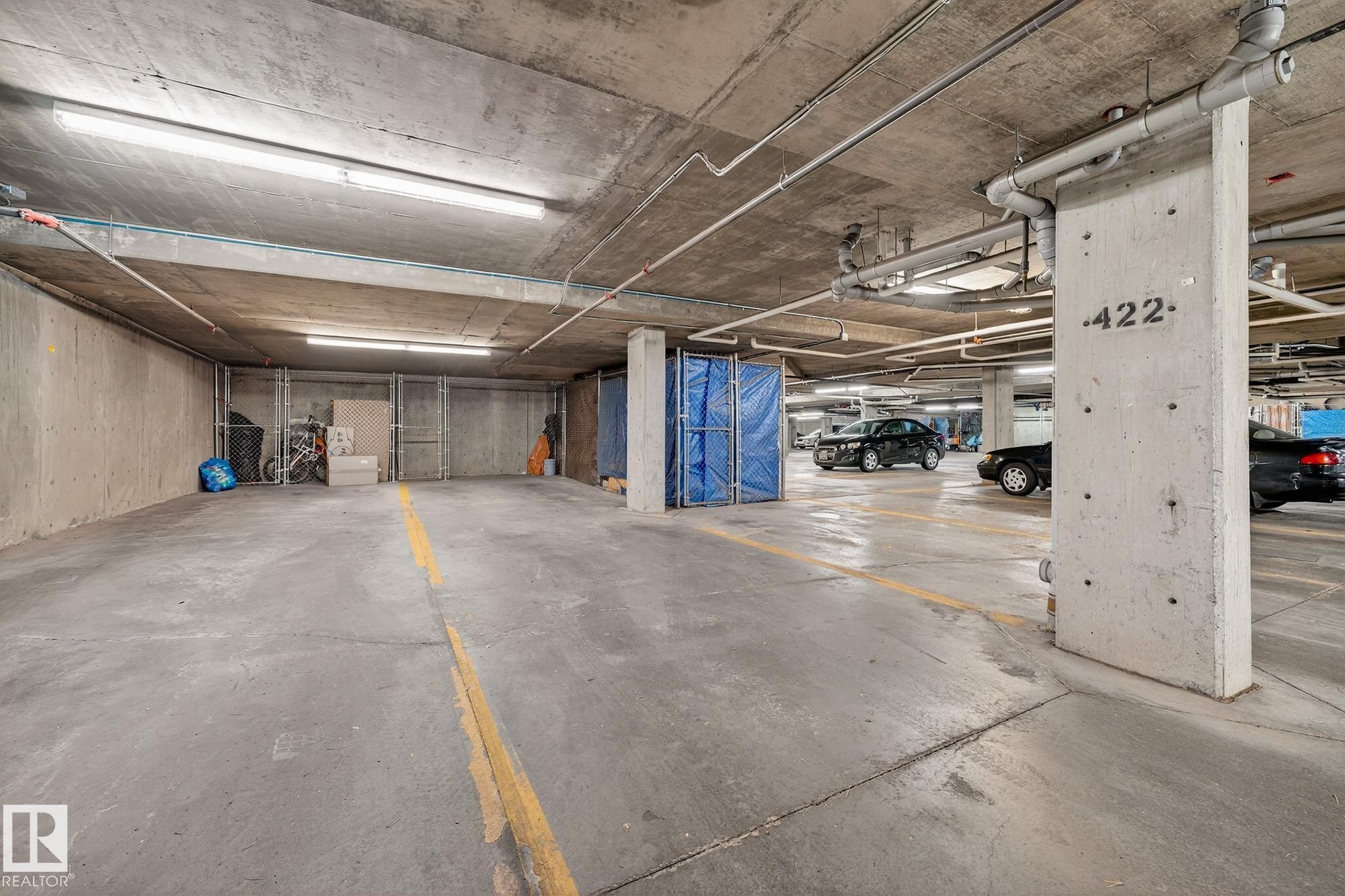 247 308 Ambleside Link, Edmonton, AB - Indoor Photo Showing Garage