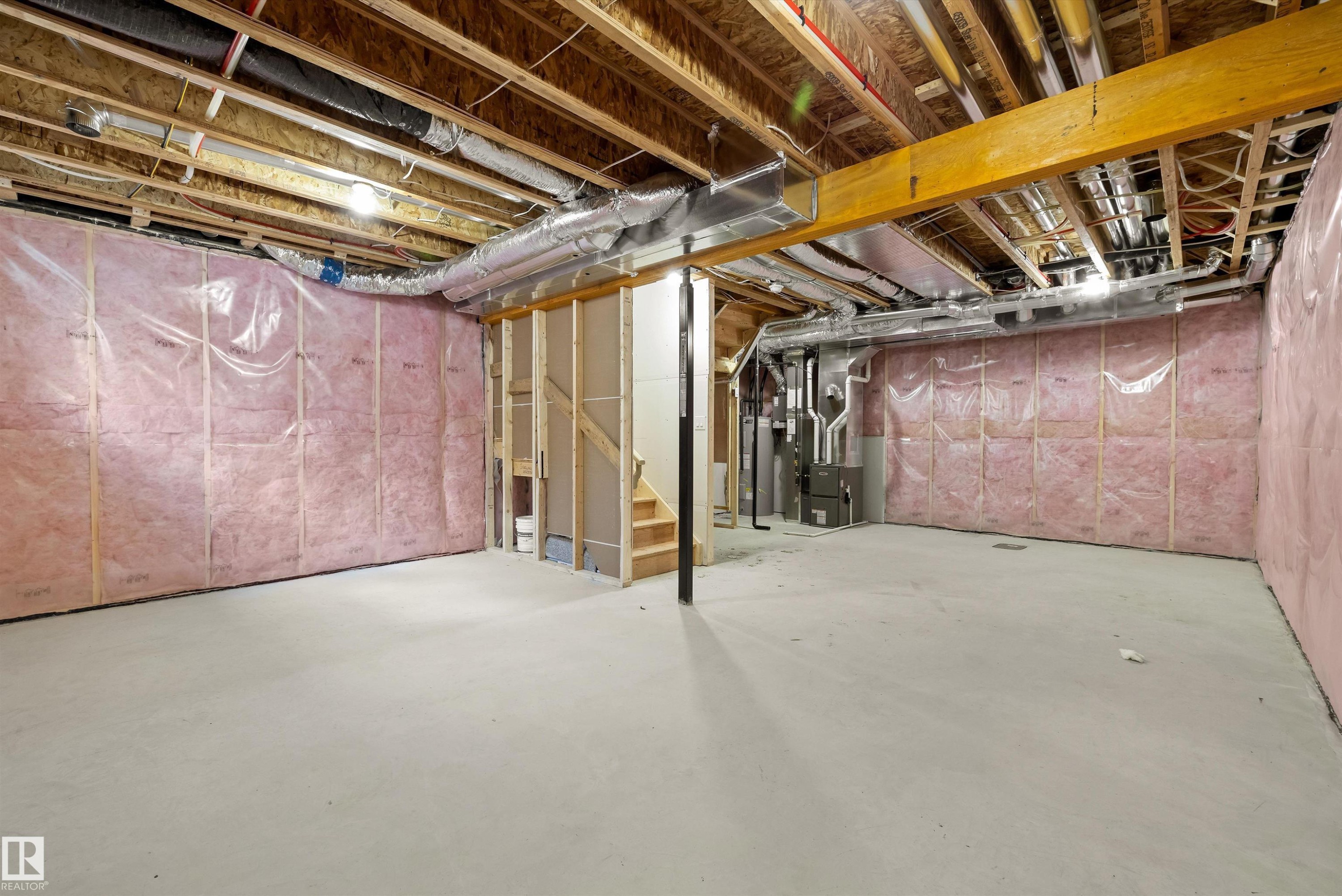 19111 20 Avenue, Edmonton, AB - Indoor Photo Showing Basement