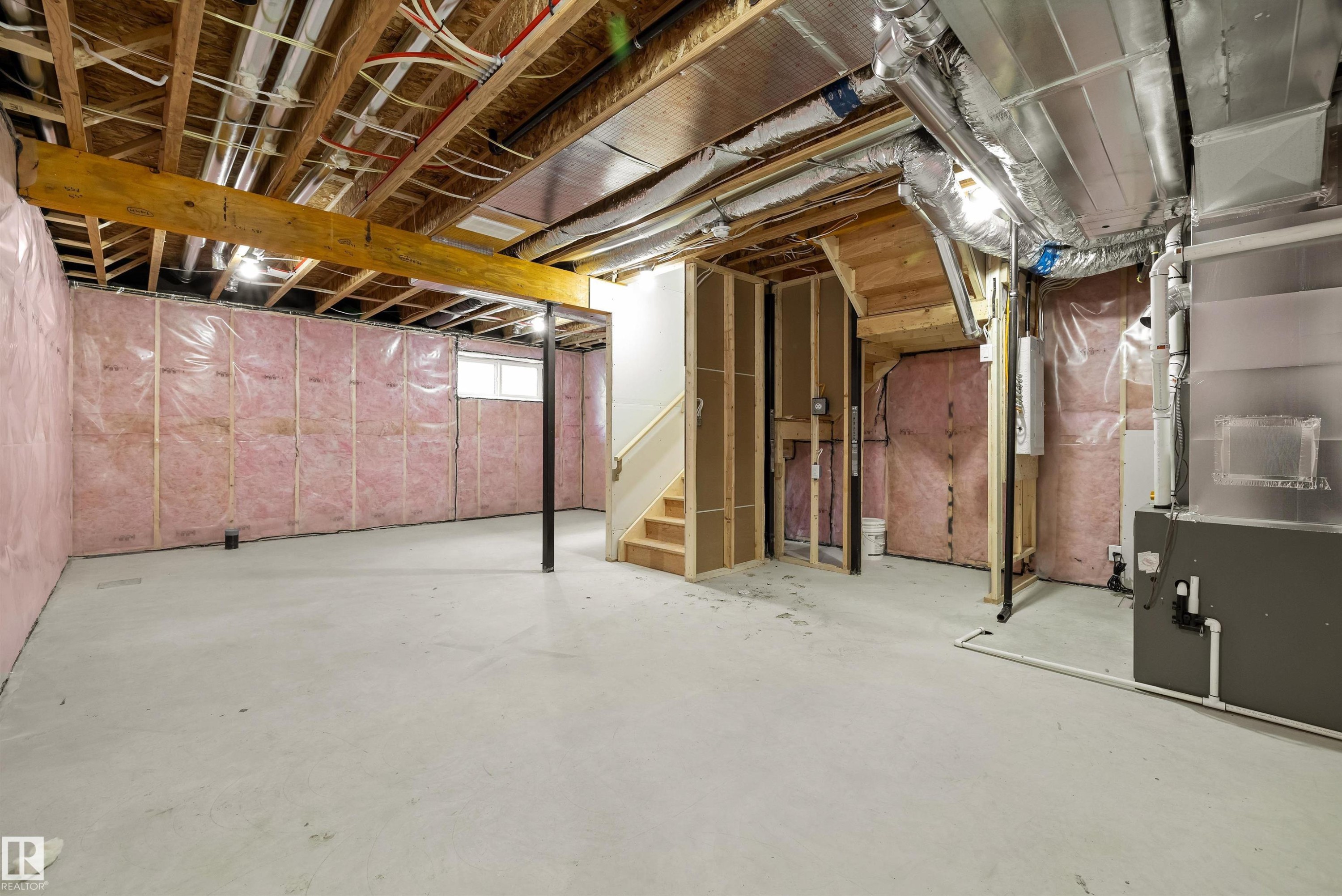 19111 20 Avenue, Edmonton, AB - Indoor Photo Showing Basement