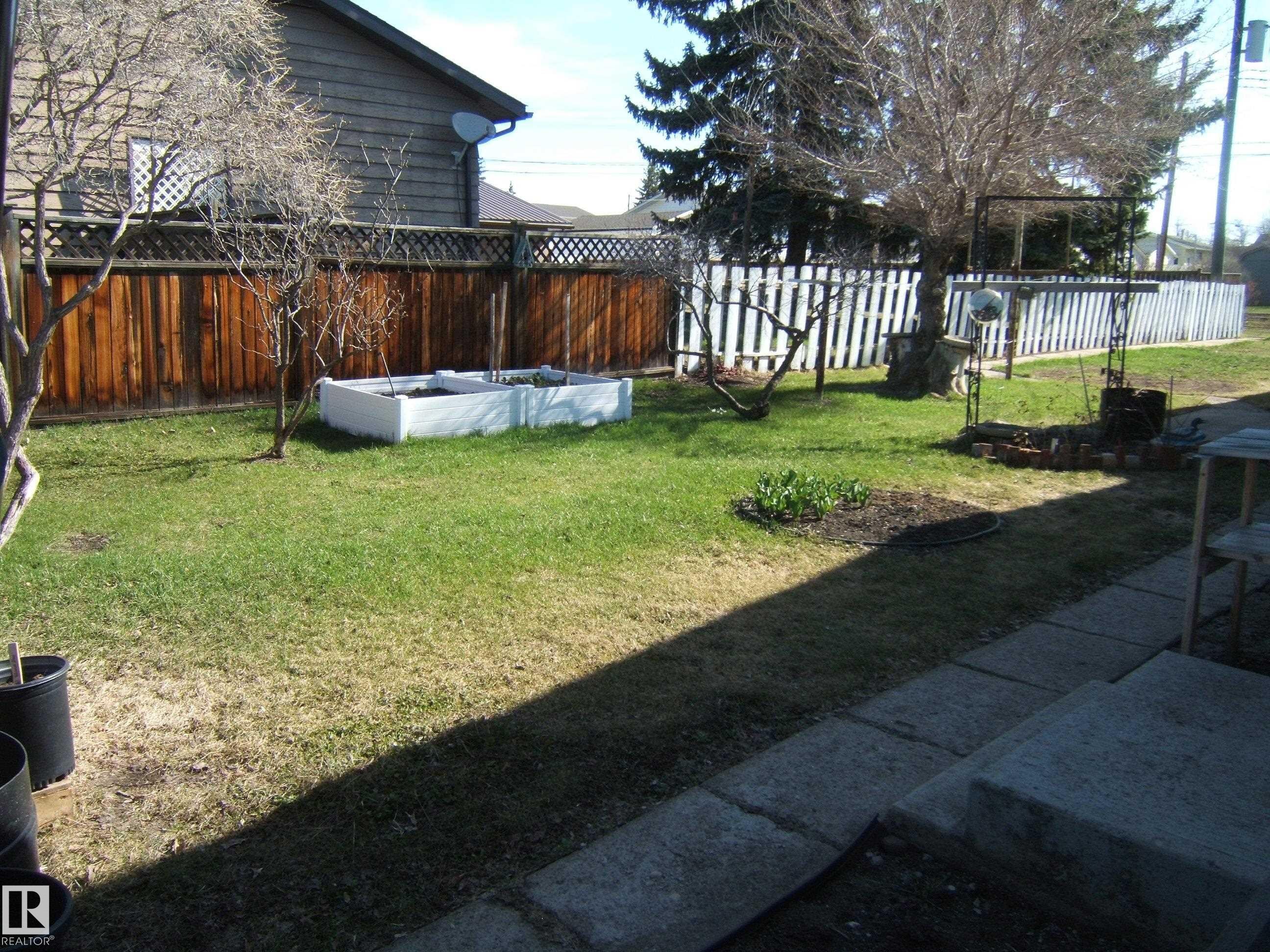 Expansive backyard featuring a manicured lawn, a raised garden bed, mature deciduous trees, and concrete paver steps - 4702 52 Avenue, Two Hills, AB - Outdoor With Backyard