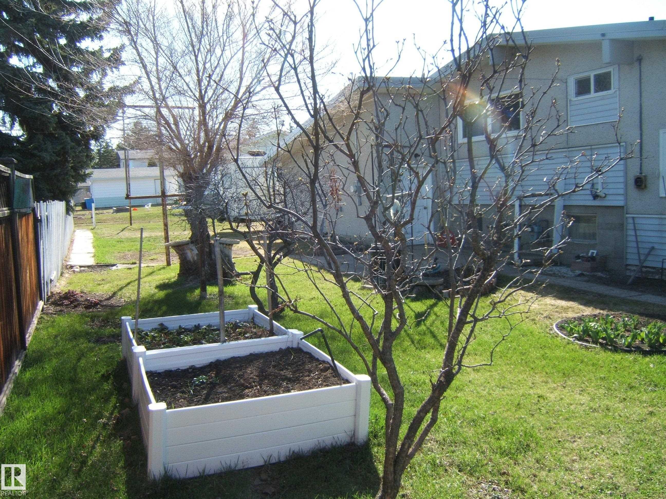 Spacious rear yard with green lawn, two white raised garden beds, and mature trees - 4702 52 Avenue, Two Hills, AB - Outdoor