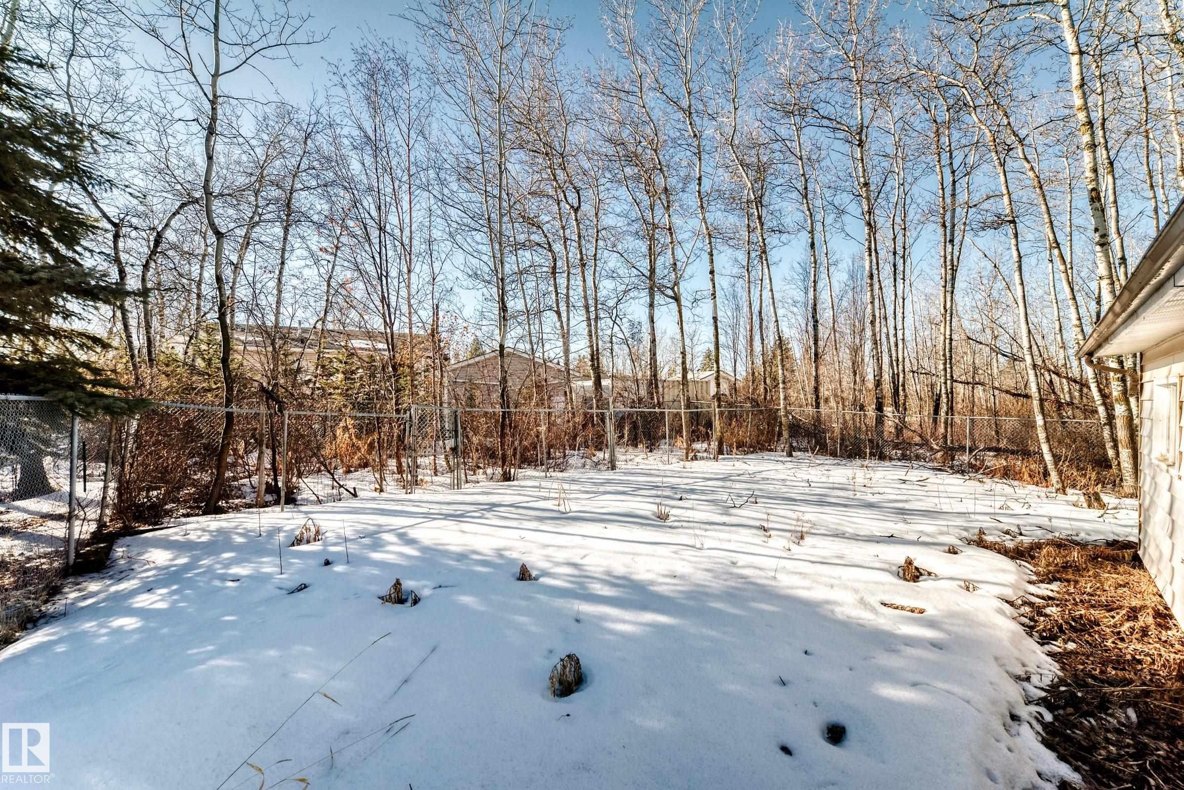The property features an expansive yard with a chain link fence, mature trees, and a clear blue sky overhead - 100 23016 Twp Rd 504, Rural Leduc County, AB - Outdoor With View