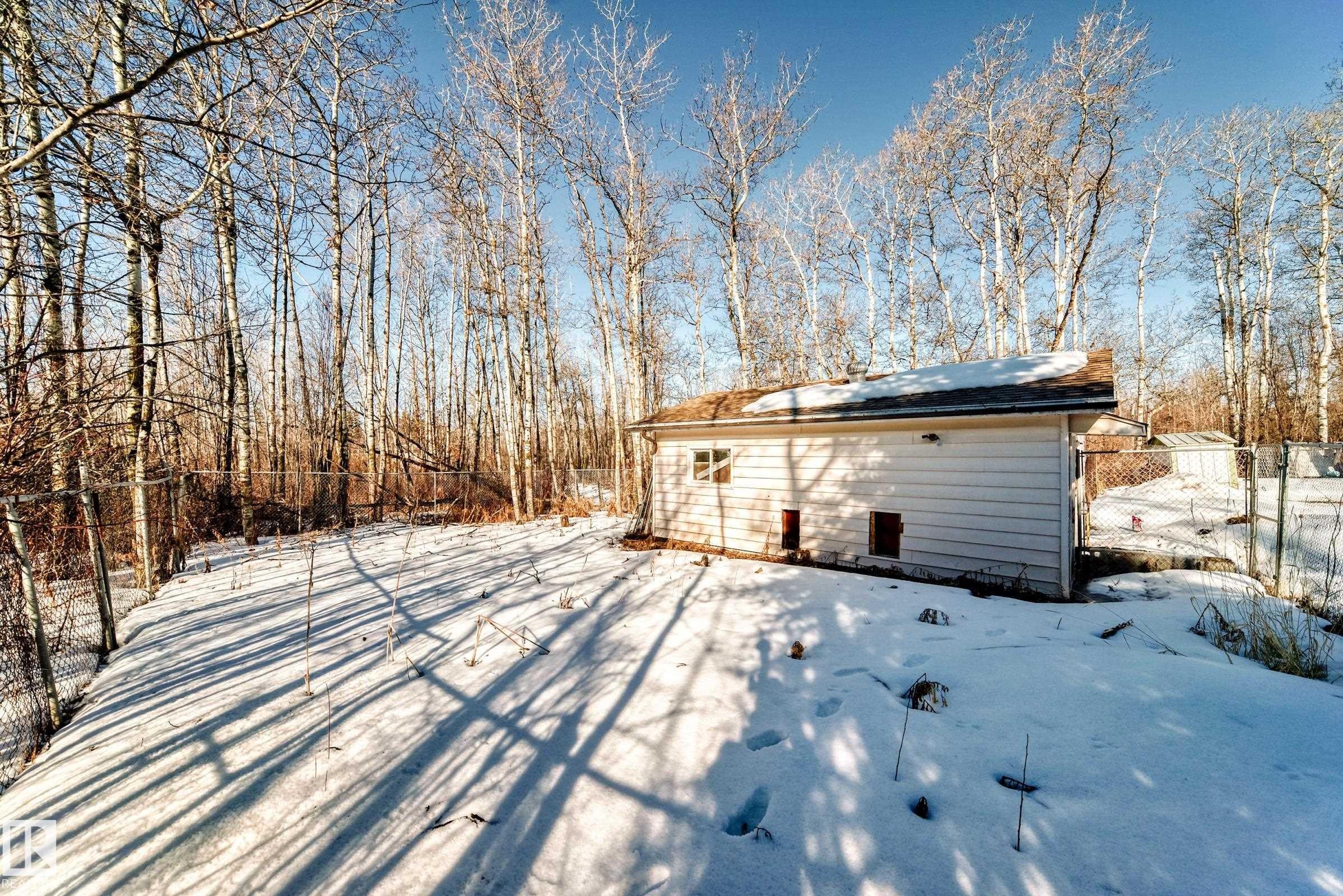 The property features a spacious yard with snow cover and mature trees, providing a private setting - 100 23016 Twp Rd 504, Rural Leduc County, AB - Outdoor