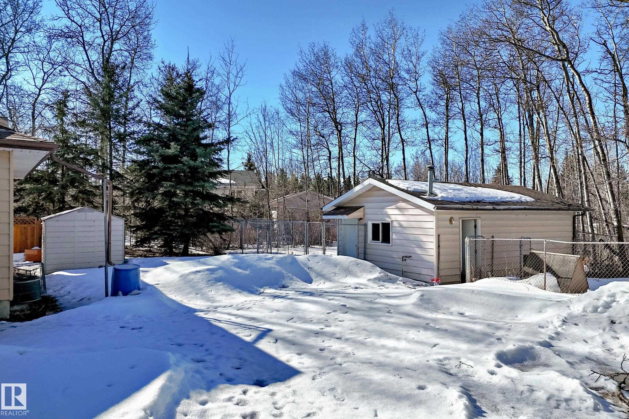 The property features a detached building with siding, a shed, and mature trees - 100 23016 Twp Rd 504, Rural Leduc County, AB - Outdoor