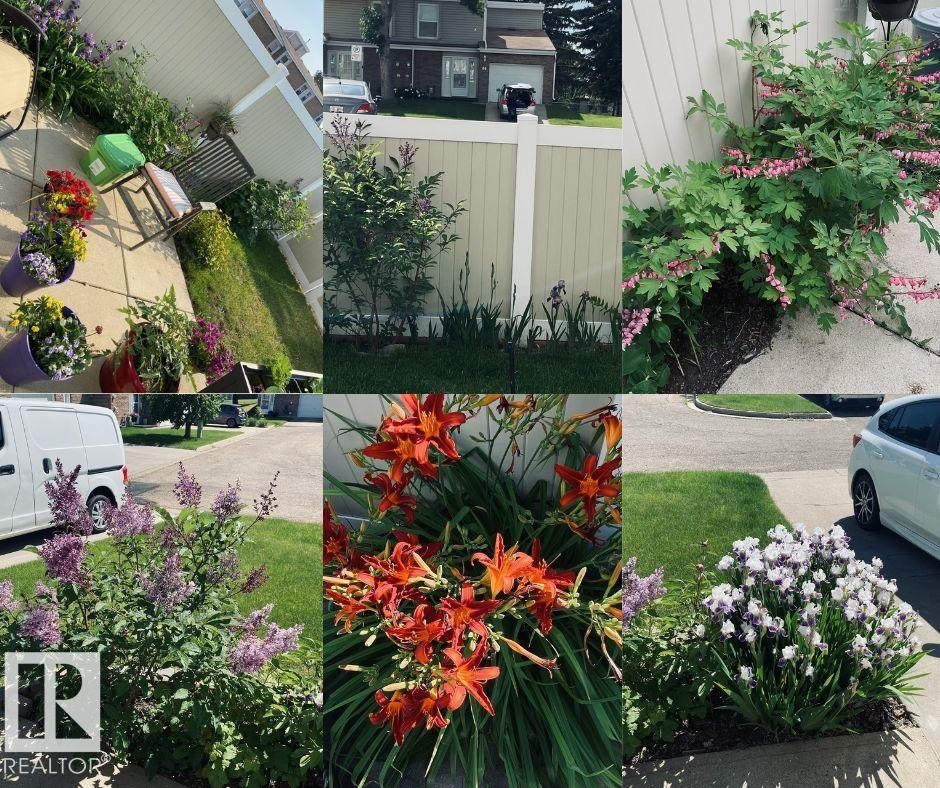 79 Grandview Ridge, St. Albert, AB - Outdoor