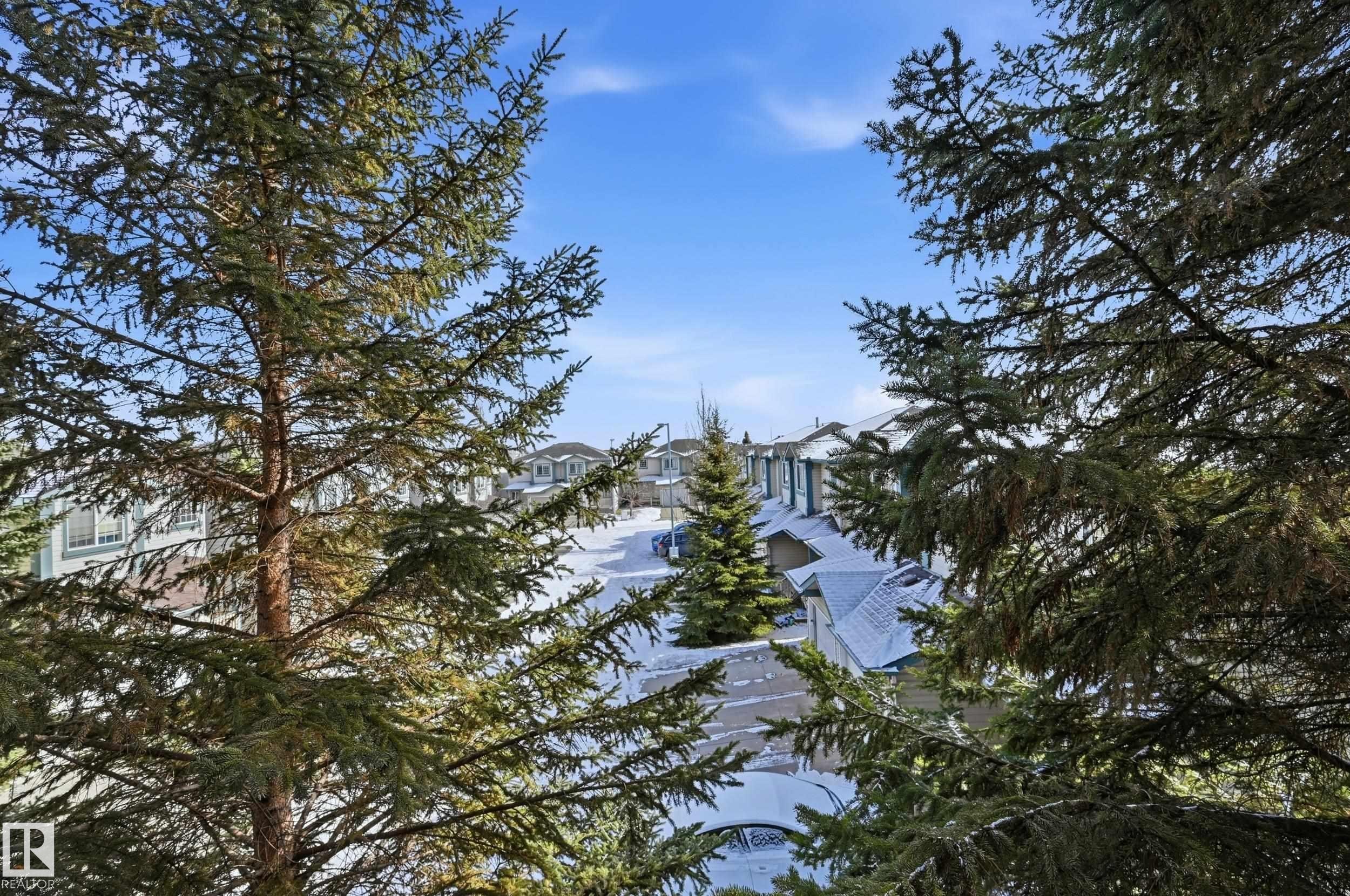 The property offers views of a residential area with snow-covered ground and evergreen trees - 314 2430 Guardian Road, Edmonton, AB - Outdoor With View