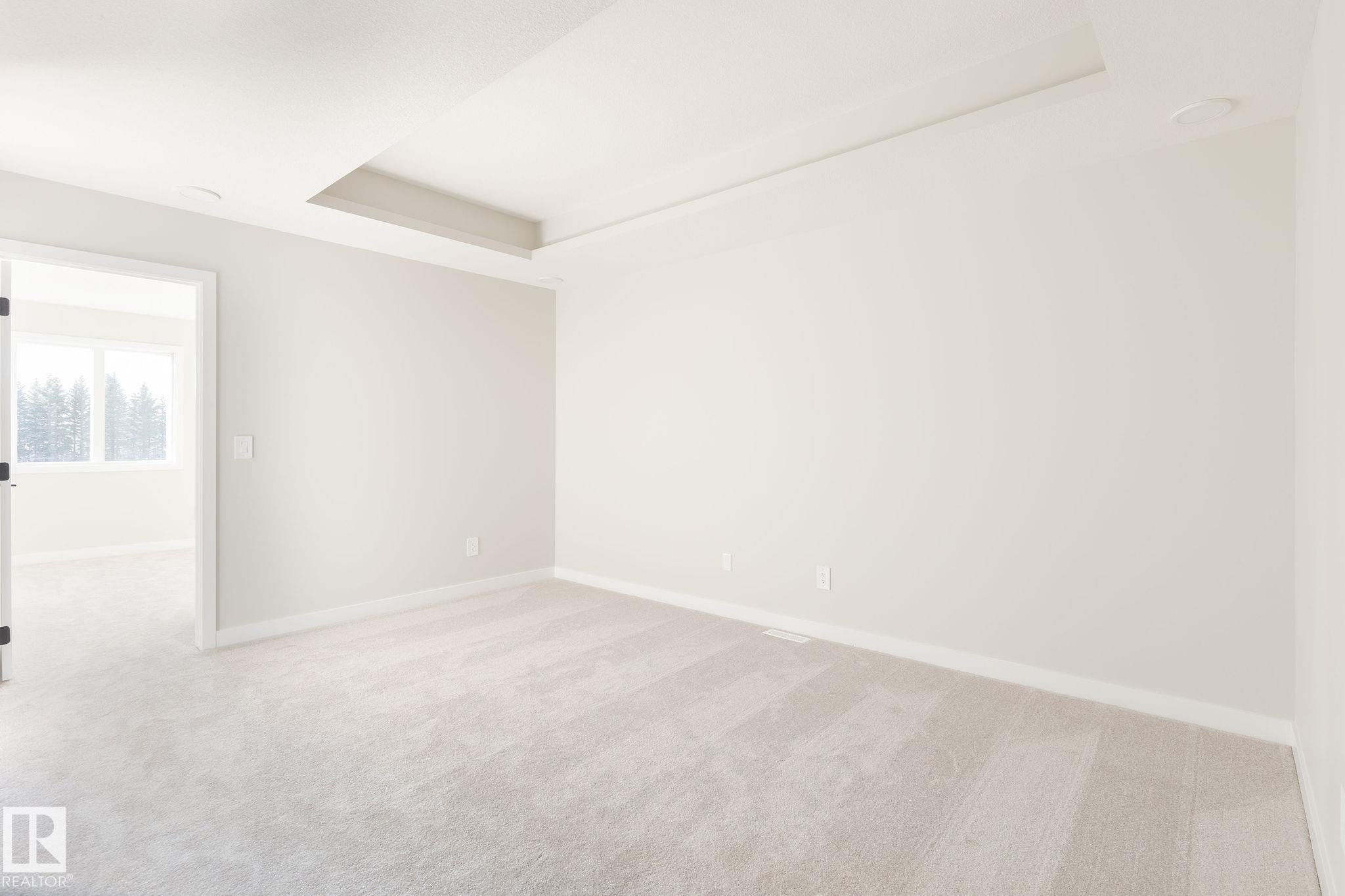 Spacious room featuring light-colored carpeting, white walls, and a tray ceiling with recessed lighting - 2206 Crossbill Link, Edmonton, AB - Indoor Photo Showing Other Room