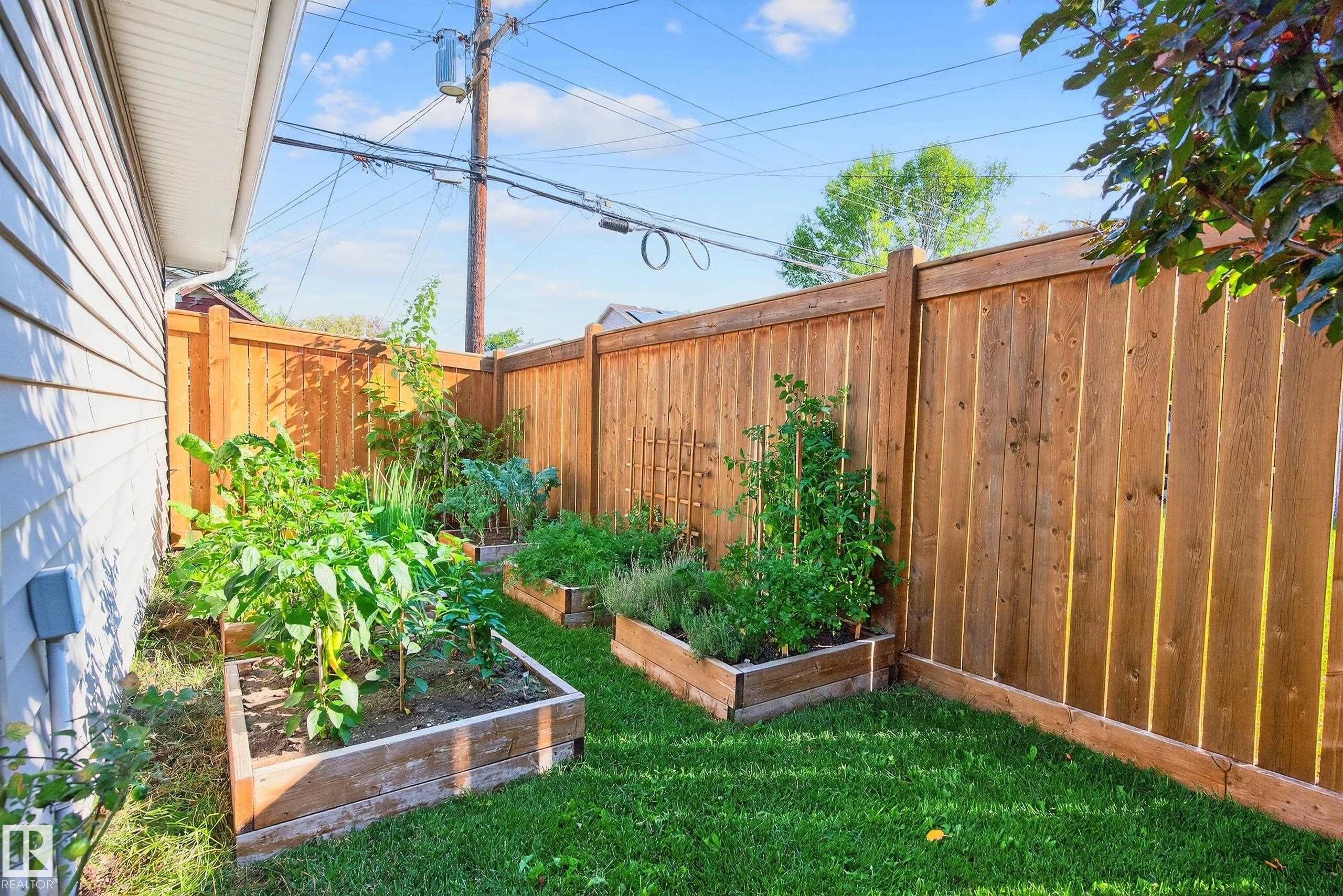 9738 75 Avenue, Edmonton, AB - Outdoor