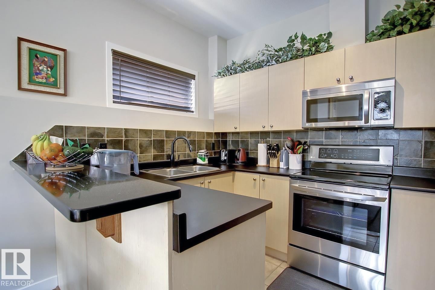 102 10905 109 Street, Edmonton, AB - Indoor Photo Showing Kitchen With Double Sink
