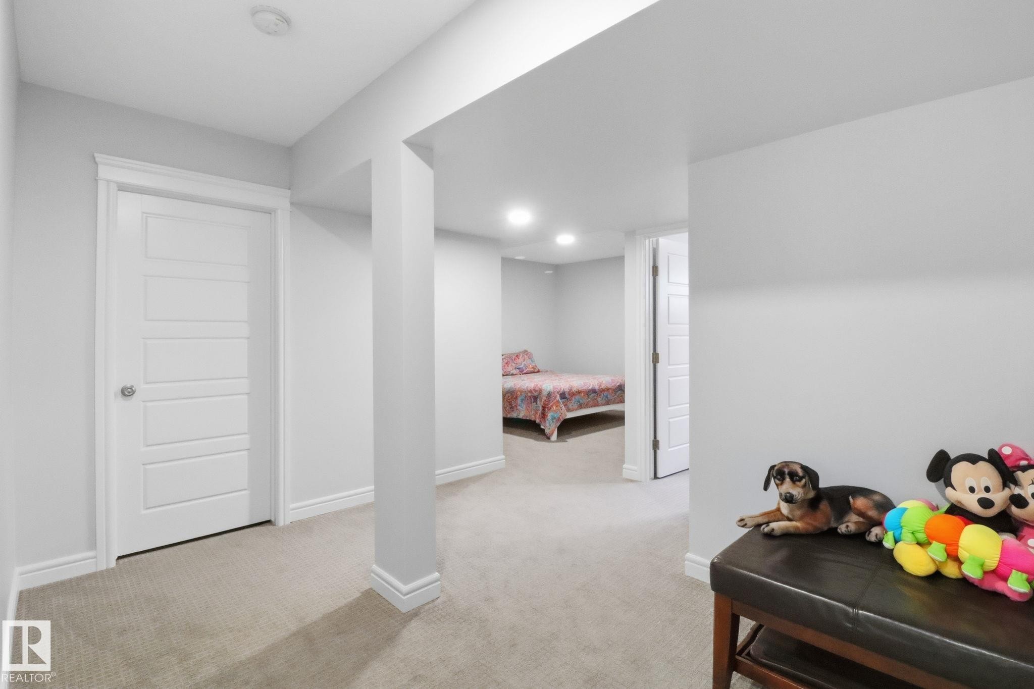 812 176 Street Sw, Edmonton, AB - Indoor Photo Showing Other Room