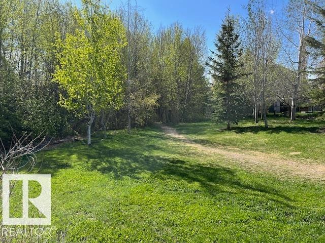 Expansive grassy area featuring a natural dirt path, surrounded by mature deciduous and evergreen trees - 21917 95A Avenue, Edmonton, AB - Outdoor With View