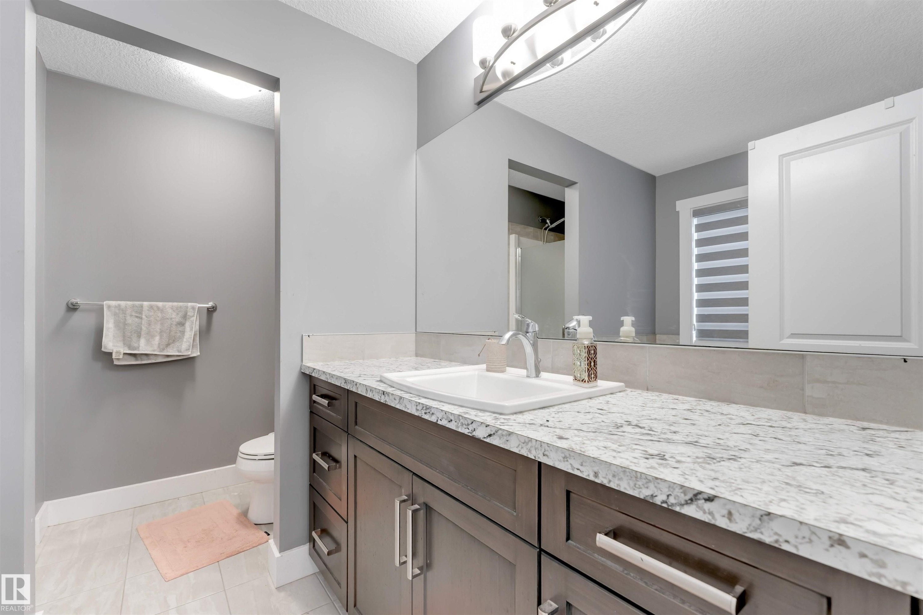 2987 Chokecherry Common Sw, Edmonton, AB - Indoor Photo Showing Bathroom