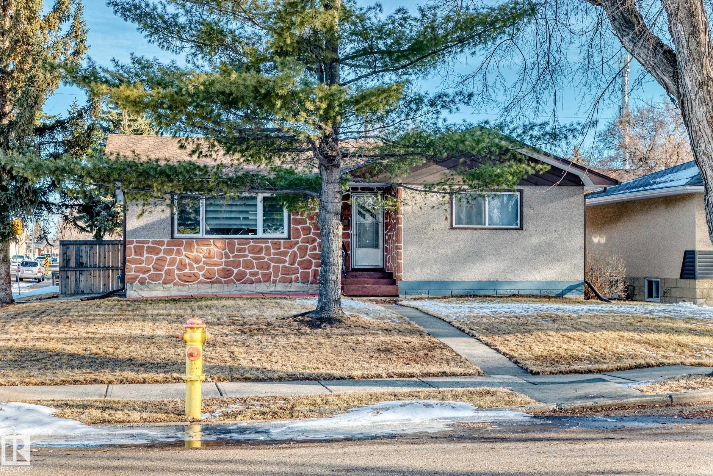 The property features a concrete walkway leading to the front entrance, a front yard with grass and mature trees, and a stone facade on the lower portion of the exterior - 4446 116 Avenue, Edmonton, AB - Outdoor