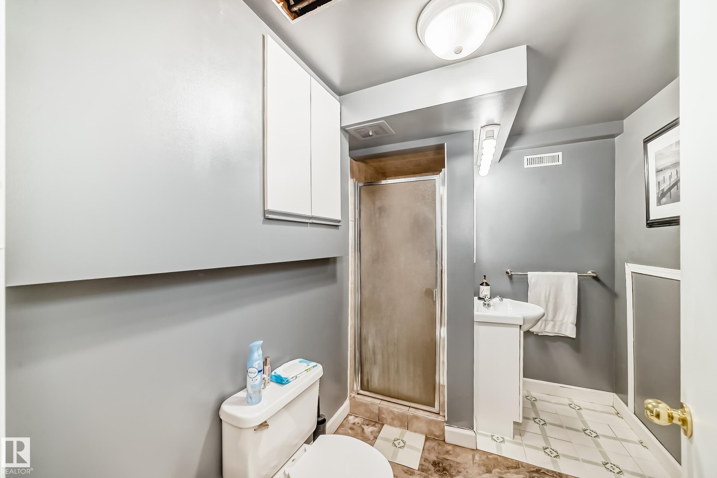 The bathroom features a standing shower with a glass door, a vanity with a white sink, and patterned floor tiling - 4446 116 Avenue, Edmonton, AB - Indoor Photo Showing Bathroom