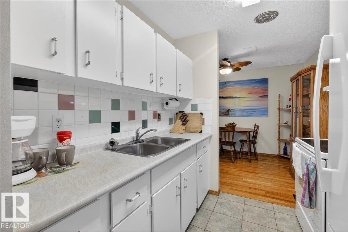 The kitchen features white cabinetry, a double basin sink, and a tiled backsplash with colorful accents - 2 Mcleod Place, Edmonton, AB - Indoor Photo Showing Kitchen With Double Sink