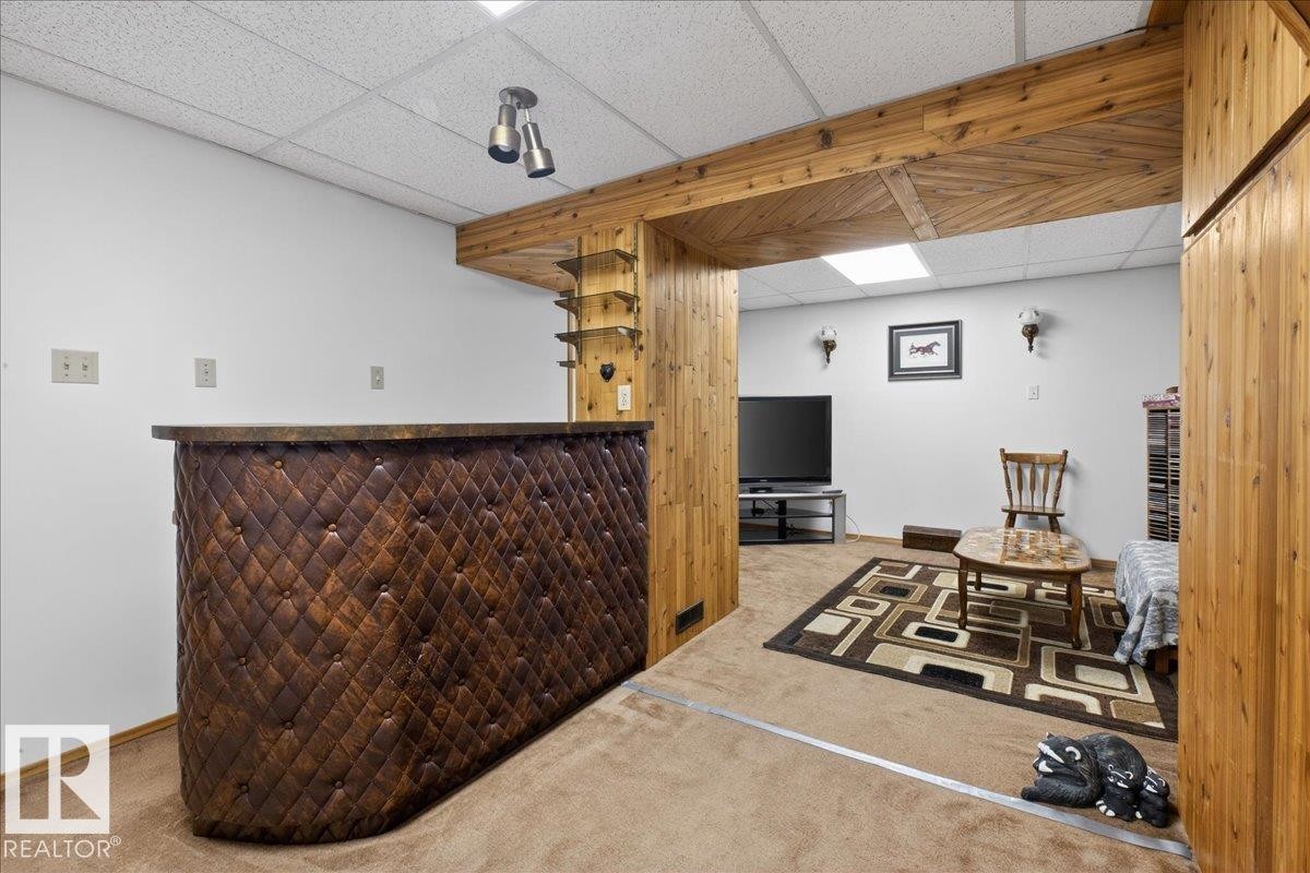 The property features a recreational space with a built-in bar, carpeted flooring, and a drop ceiling - 2 Mcleod Place, Edmonton, AB - Indoor Photo Showing Basement