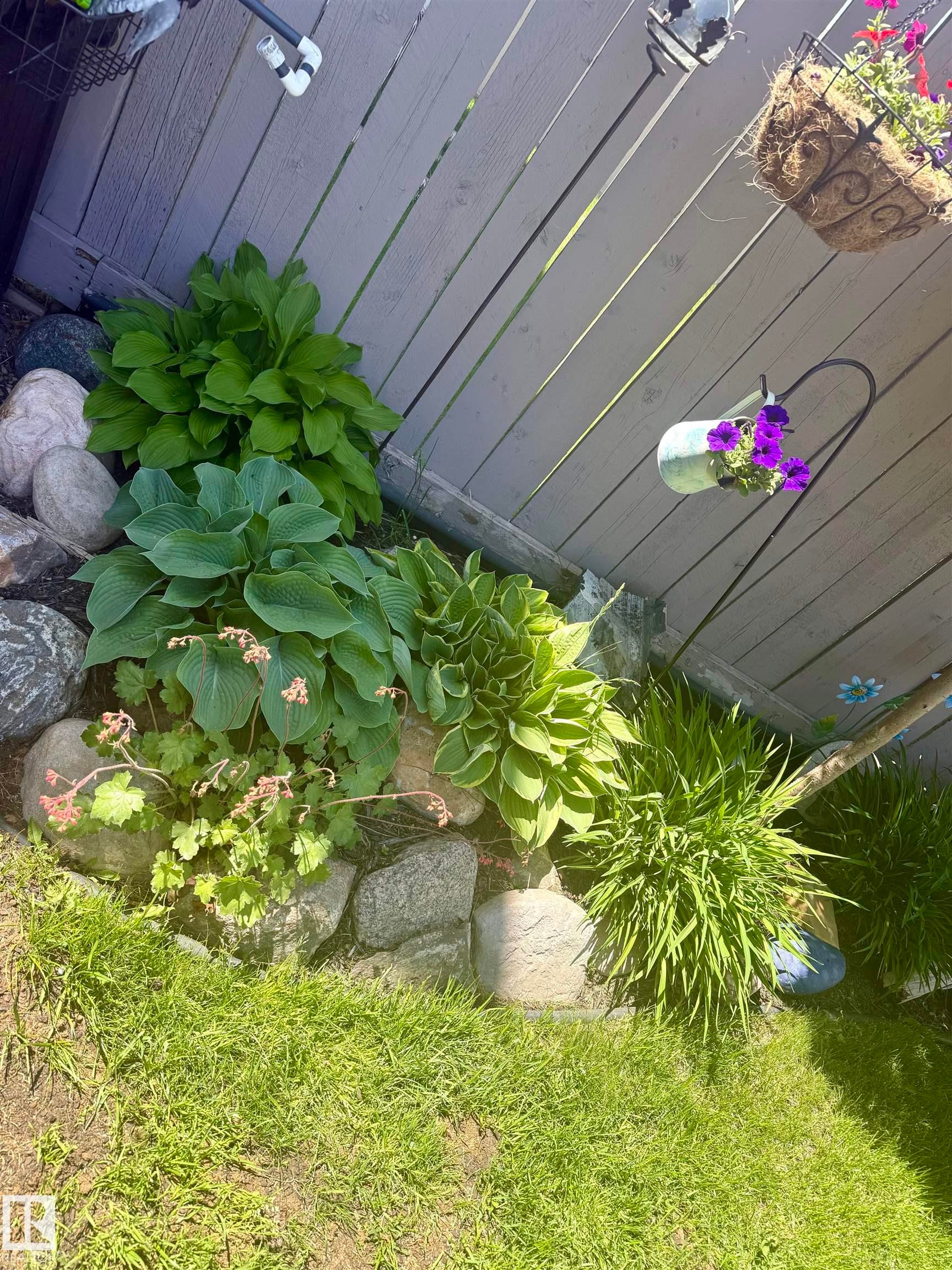 The property features a well-maintained garden bed with a variety of green plants and natural stone accents - 2914 18A Avenue, Edmonton, AB - Outdoor