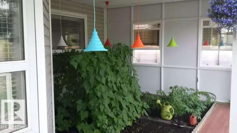 This property features an enclosed patio area with a garden bed and planted greenery - 1135 112 Street, Edmonton, AB - With Exterior