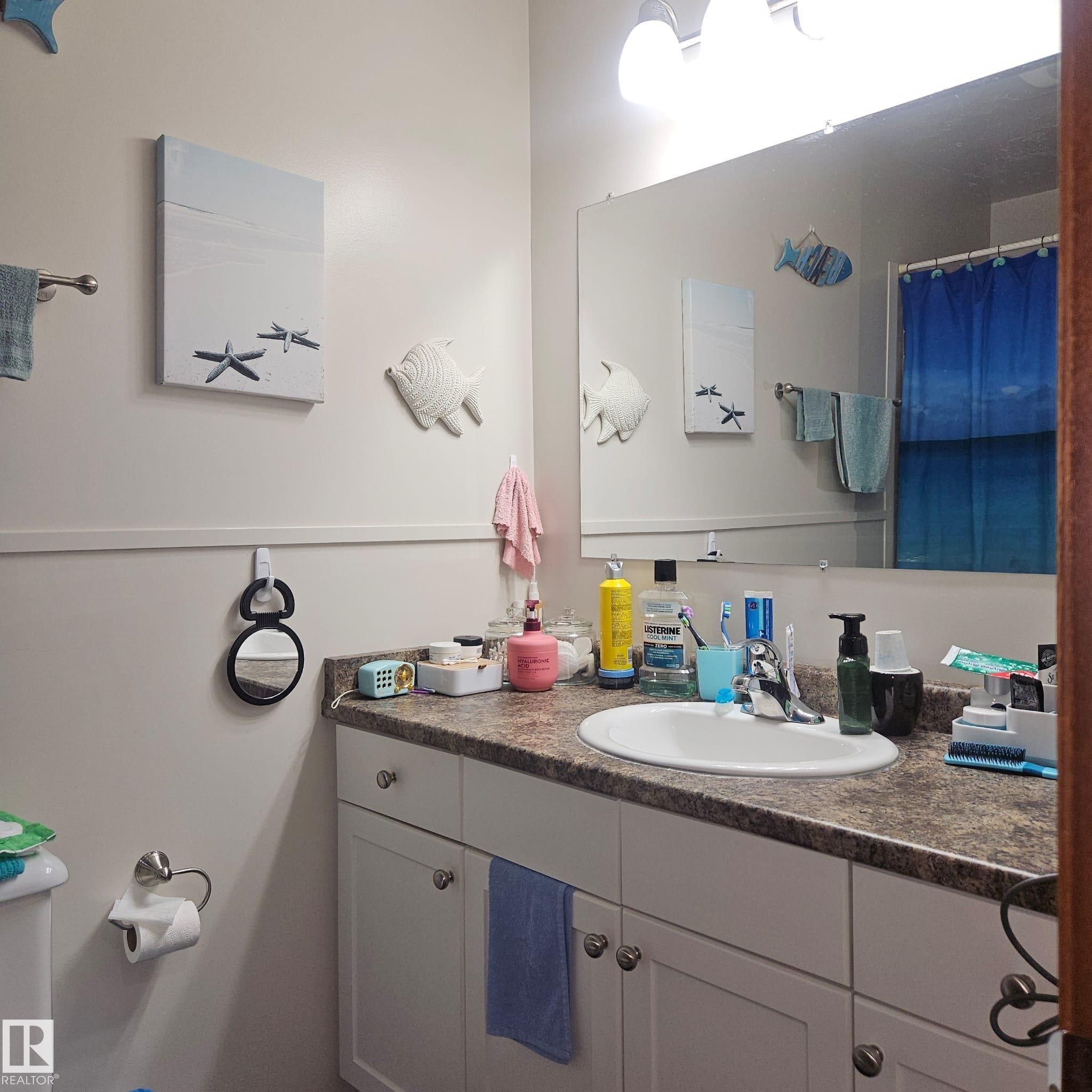 8315 69 Avenue, Edmonton, AB - Indoor Photo Showing Bathroom