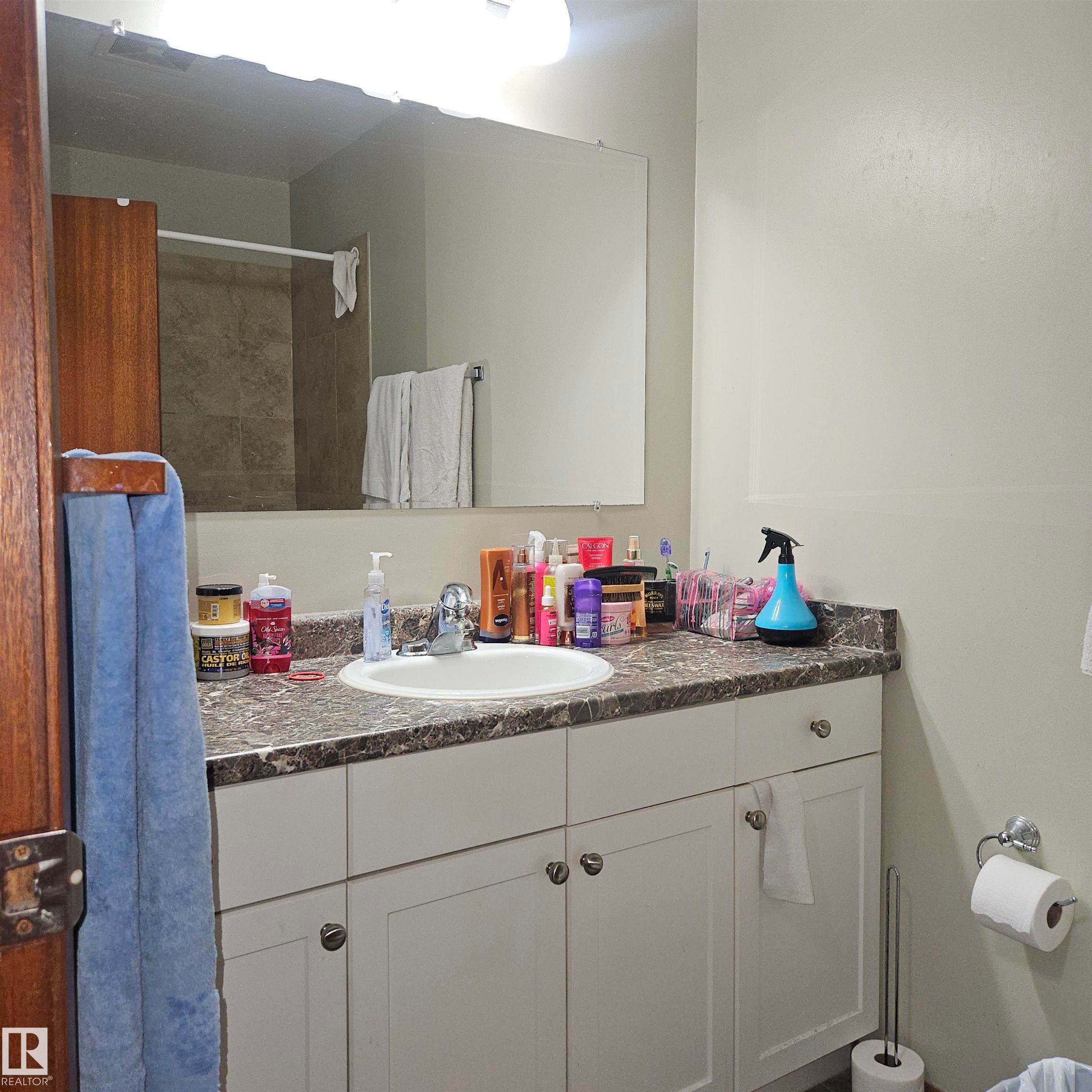 8317 69 Avenue, Edmonton, AB - Indoor Photo Showing Bathroom