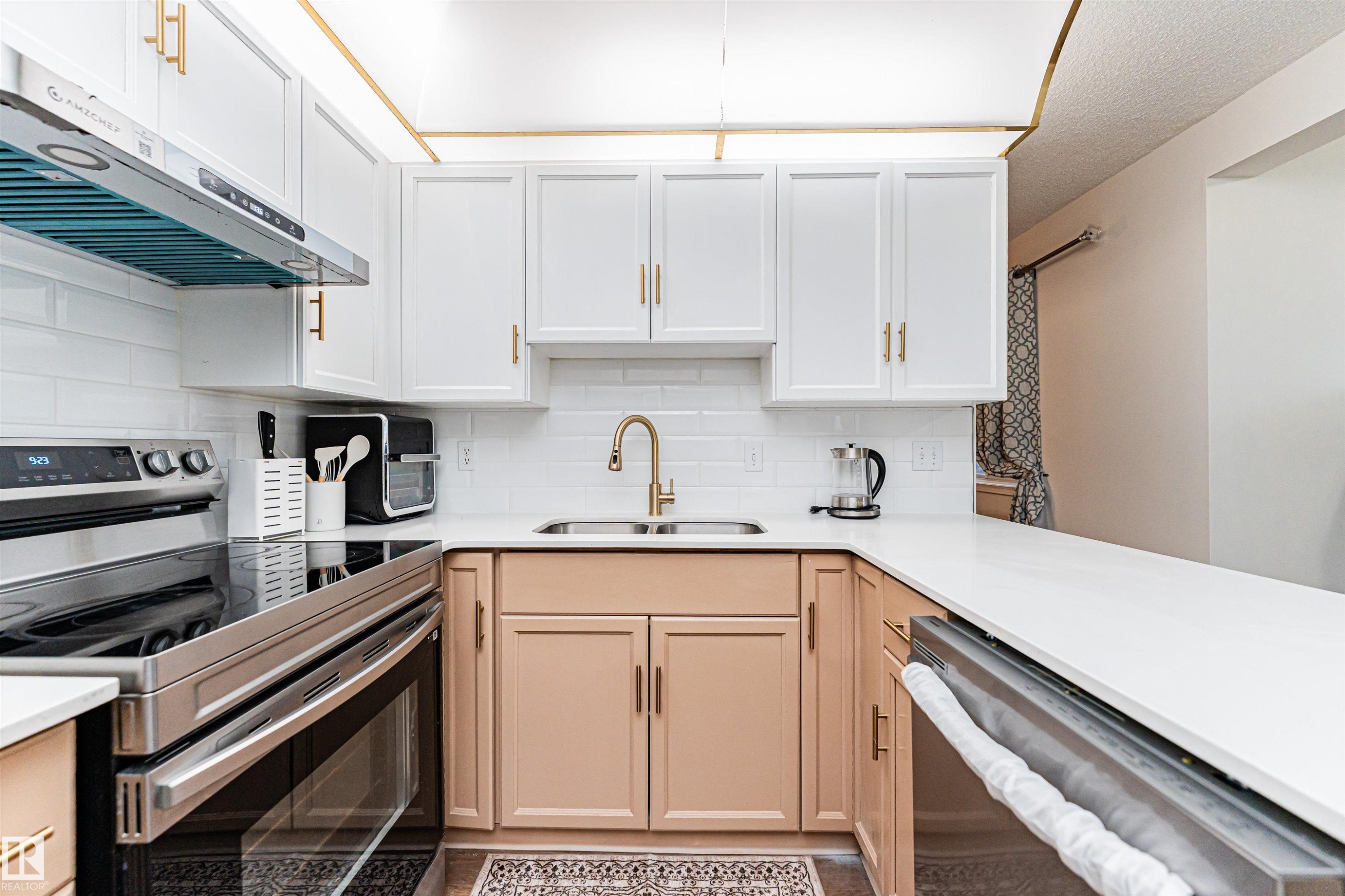 4424 33 Street, Edmonton, AB - Indoor Photo Showing Kitchen With Double Sink