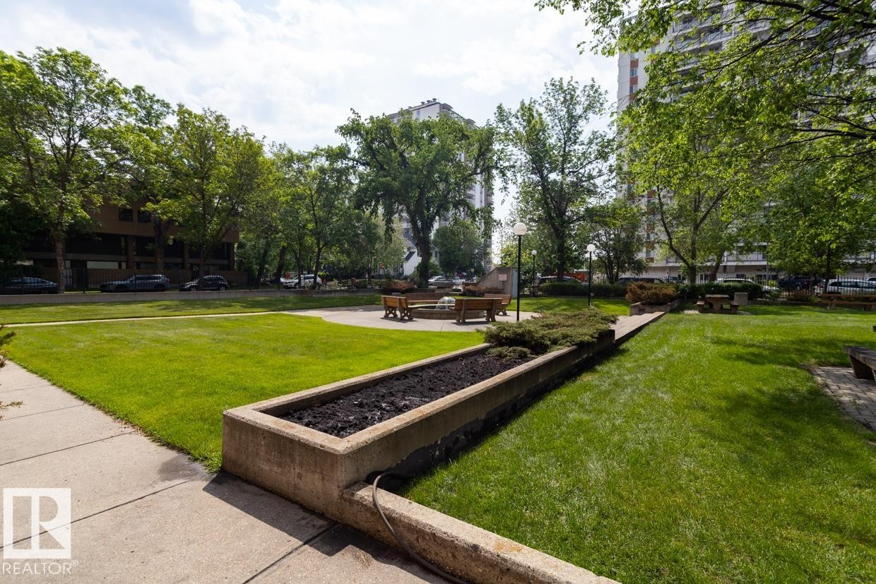 903 9916 113 Street, Edmonton, AB - Outdoor With Backyard