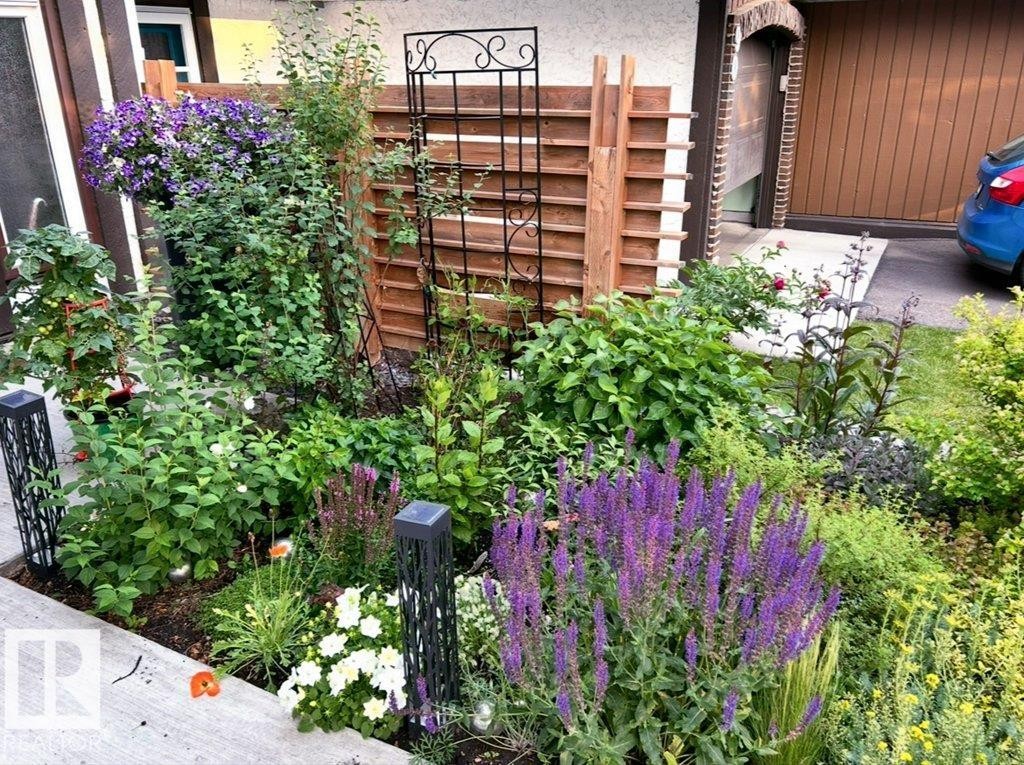 Colourful plants blooming in summer - 91 Hearthstone, Edmonton, AB - Outdoor