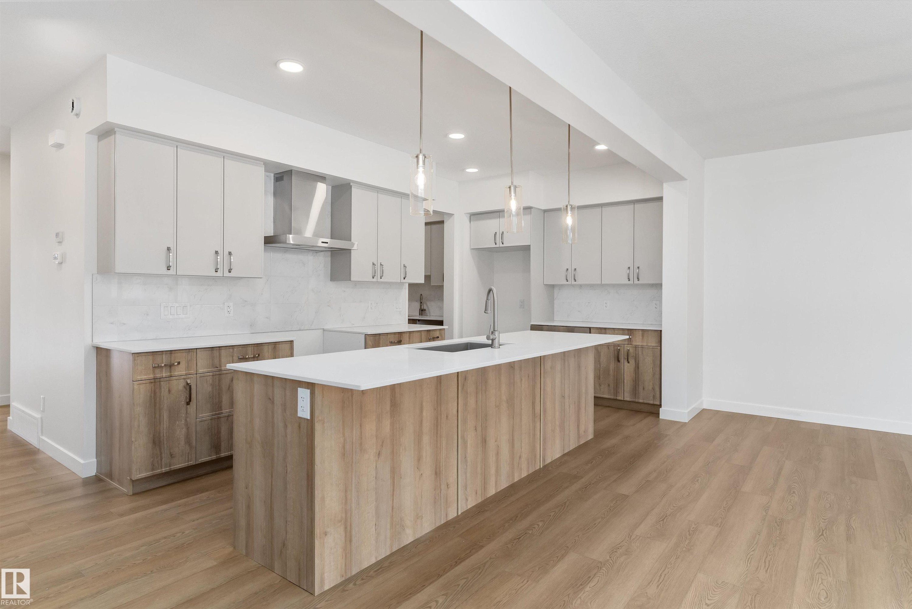2728 194 Street, Edmonton, AB - Indoor Photo Showing Kitchen With Upgraded Kitchen