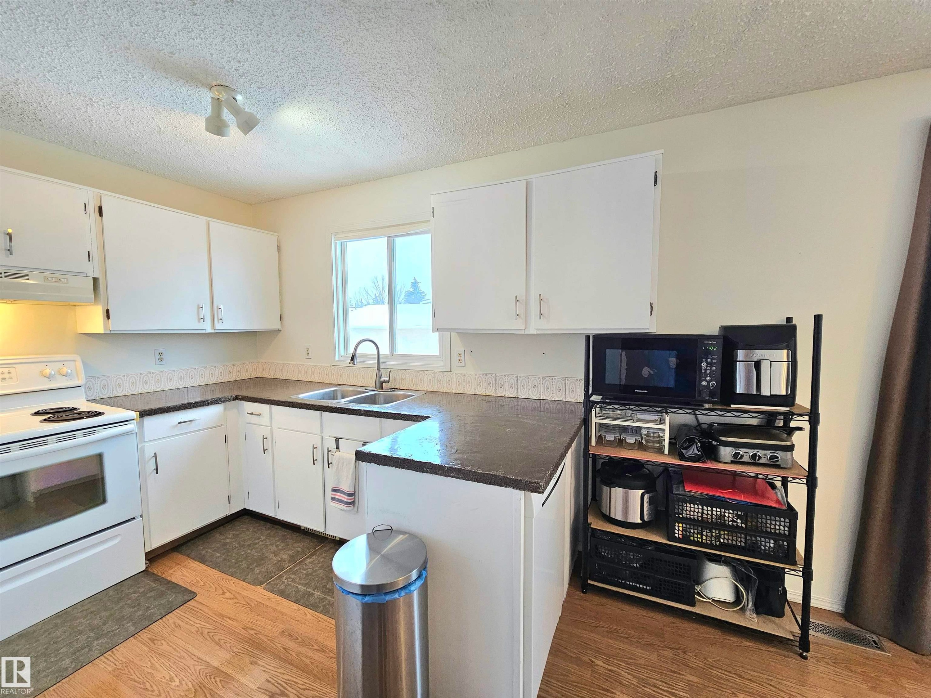 10029 173 Avenue, Edmonton, AB - Indoor Photo Showing Kitchen With Double Sink