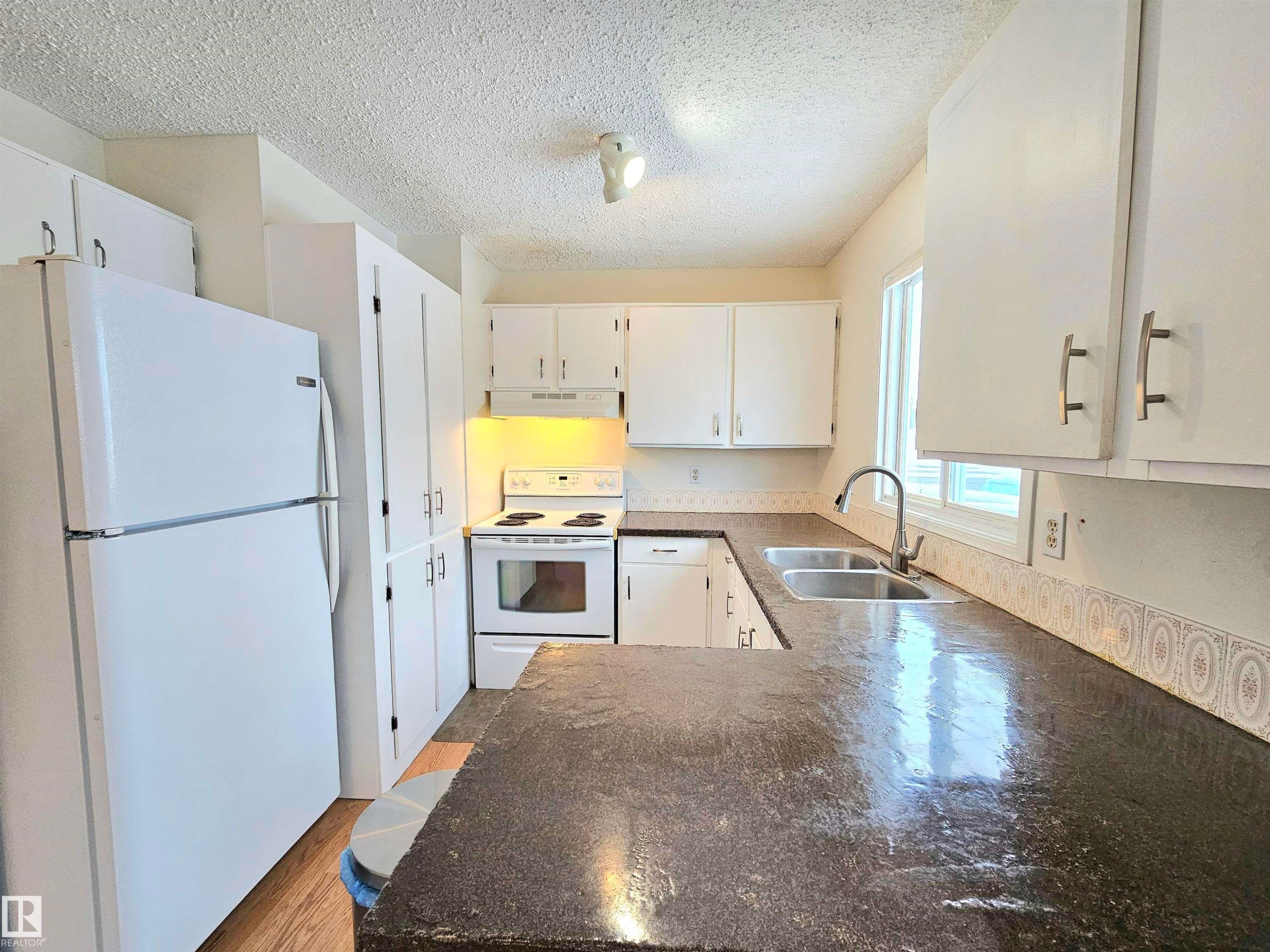 10029 173 Avenue, Edmonton, AB - Indoor Photo Showing Kitchen With Double Sink
