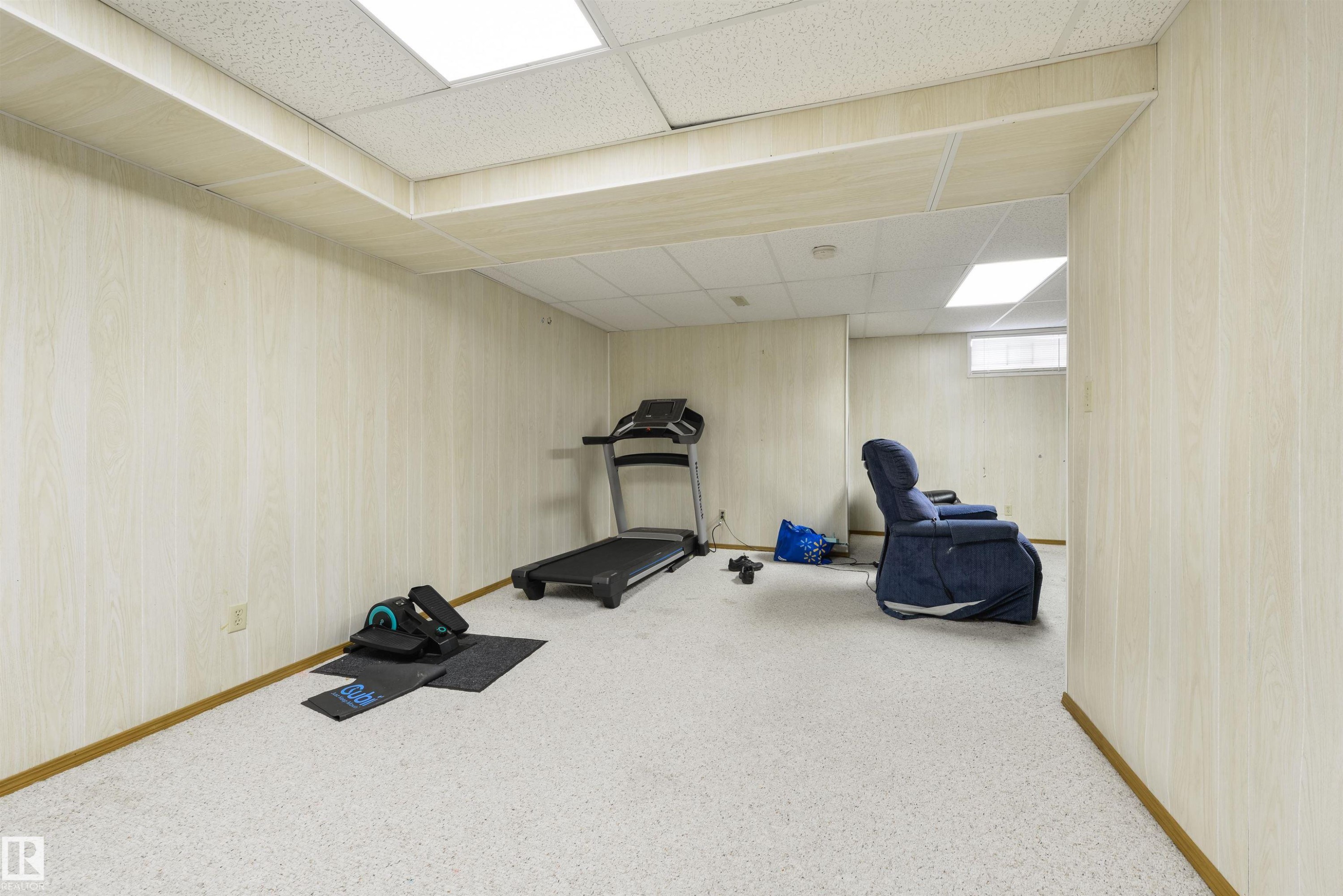10840 25 Avenue, Edmonton, AB - Indoor Photo Showing Gym Room