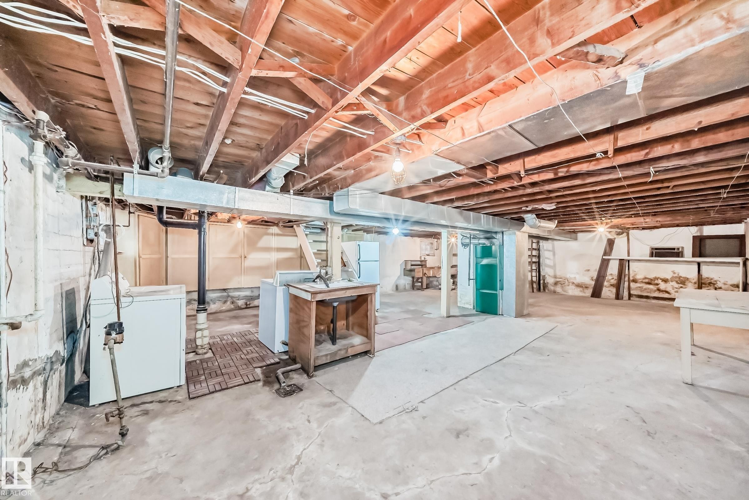 11619 96 Street, Edmonton, AB - Indoor Photo Showing Basement