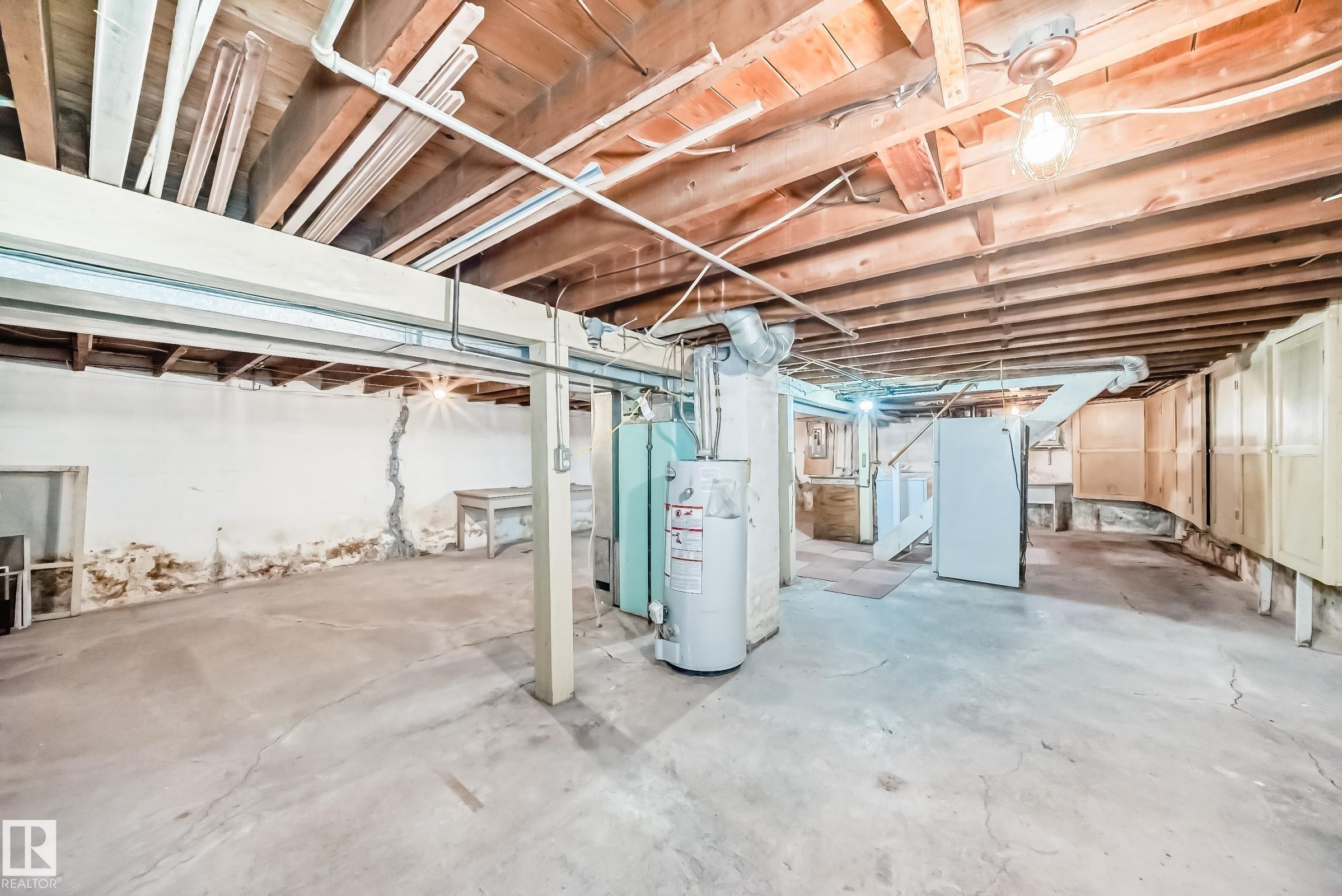 11619 96 Street, Edmonton, AB - Indoor Photo Showing Basement