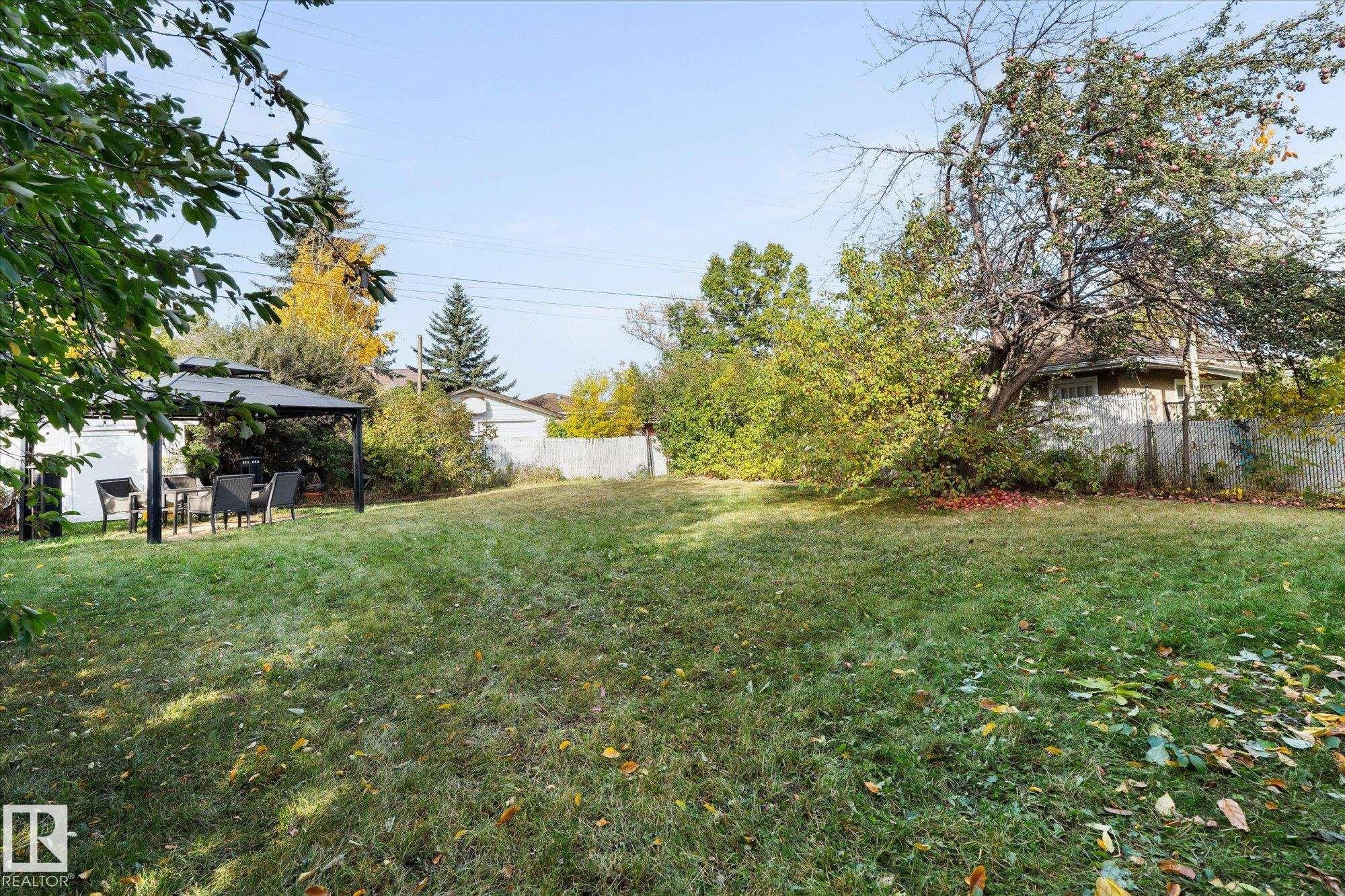 The property features an expansive lawn with mature trees and a dedicated patio area with an outdoor gazebo - 11124 110A Avenue, Edmonton, AB - Outdoor