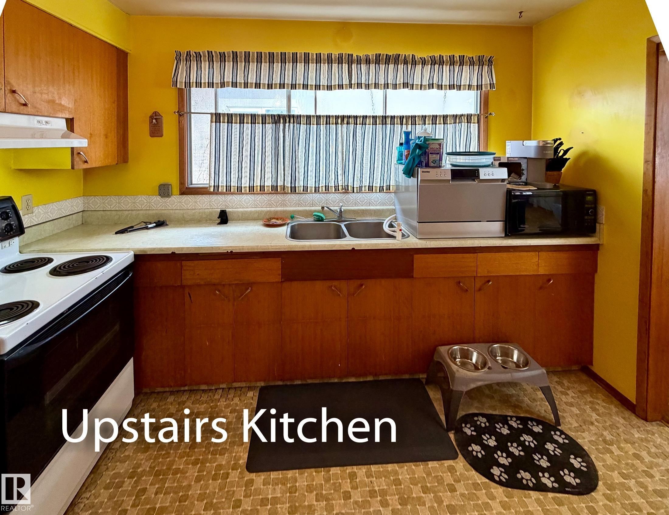 10512 55 Avenue, Edmonton, AB - Indoor Photo Showing Kitchen With Double Sink
