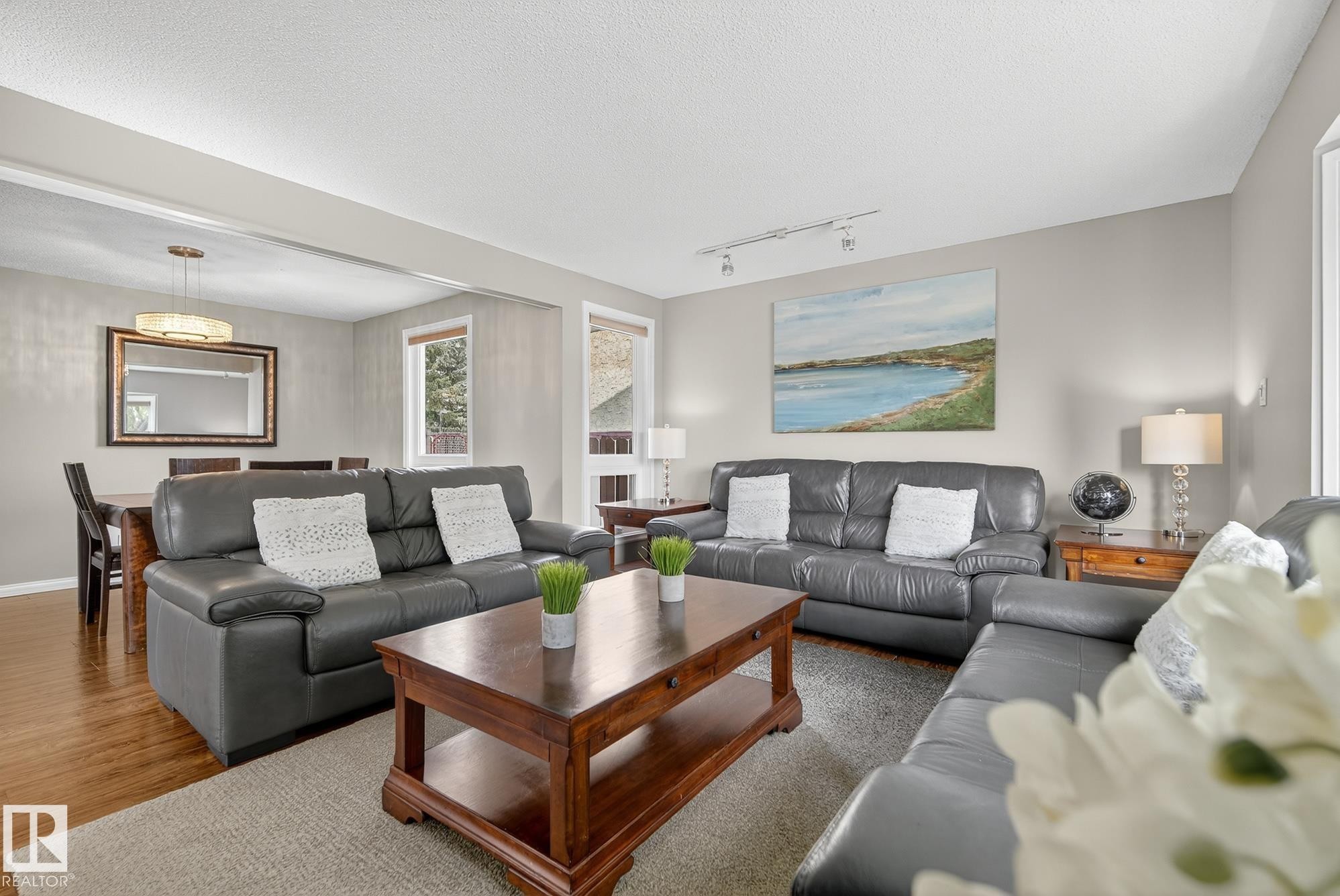3528 56 Street, Edmonton, AB - Indoor Photo Showing Living Room