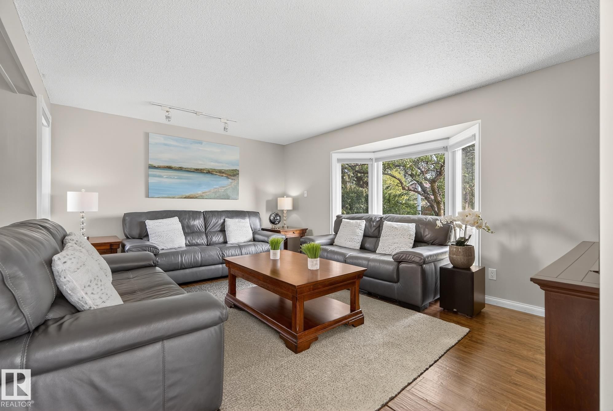 3528 56 Street, Edmonton, AB - Indoor Photo Showing Living Room