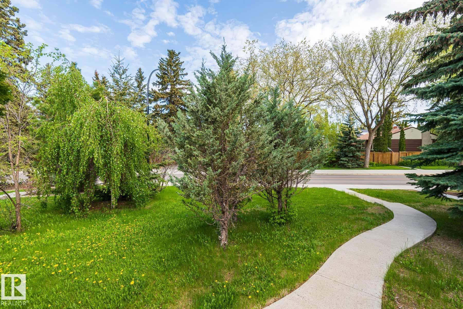 The property features a curved pathway leading through a lush green lawn with various trees and shrubs - 11815 76 Avenue, Edmonton, AB - Outdoor