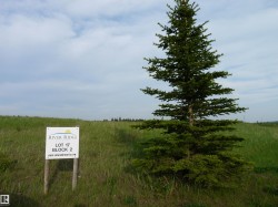 17 River Ridge Estate Rural Wetaskiwin County, AB T0C 2V0