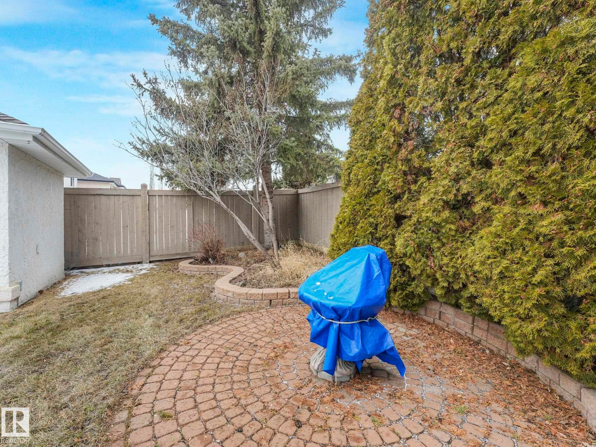 The property features a backyard with a circular paver patio, a wooden fence, and mature evergreen trees - 11704 11 Avenue, Edmonton, AB - Outdoor